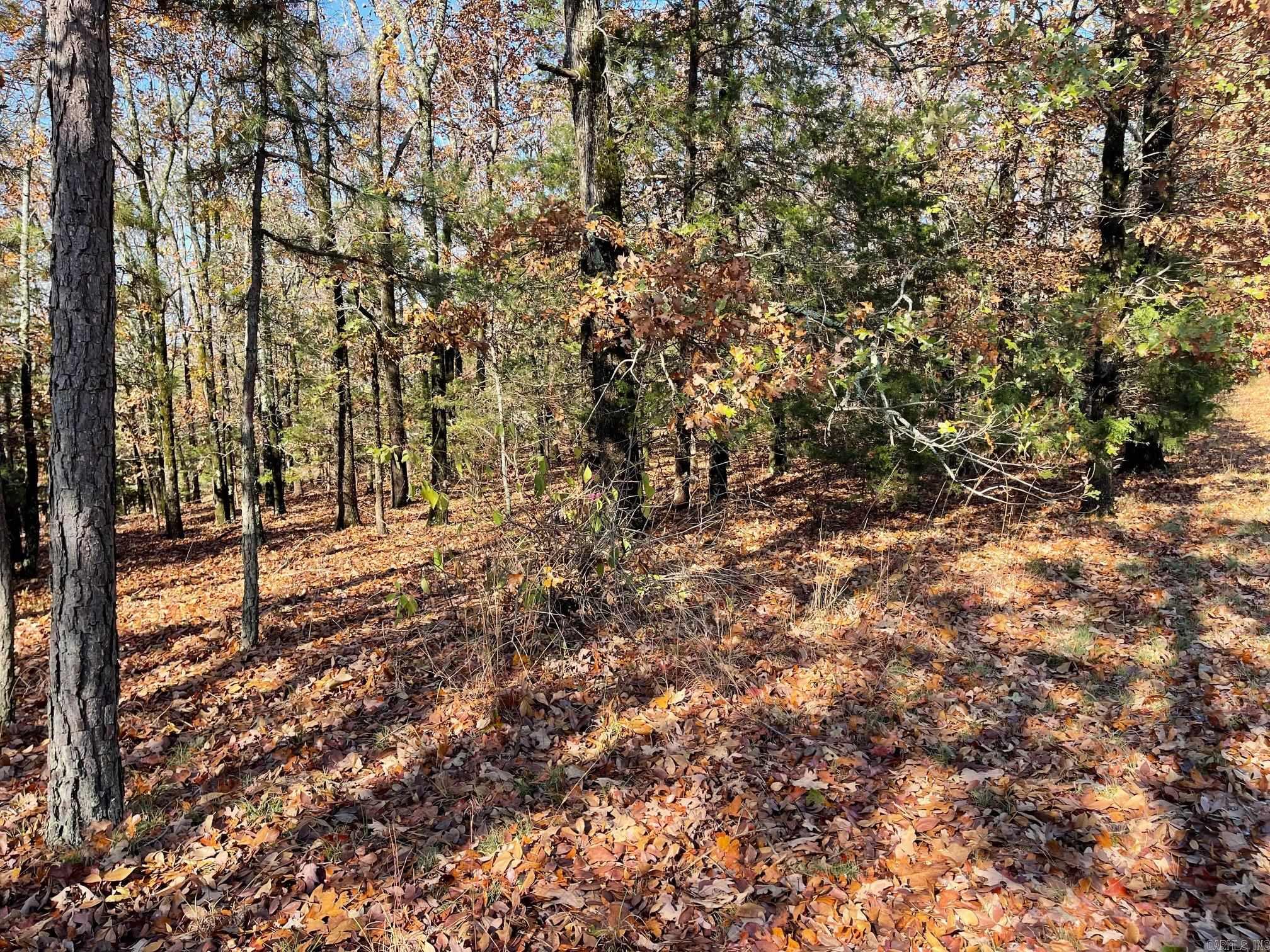 Indian Hills - Land