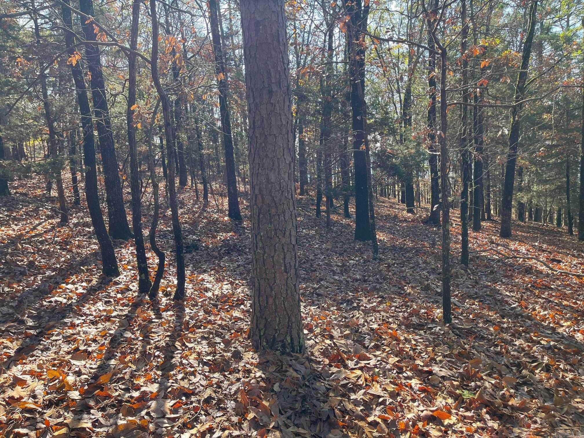 Indian Hills - Land