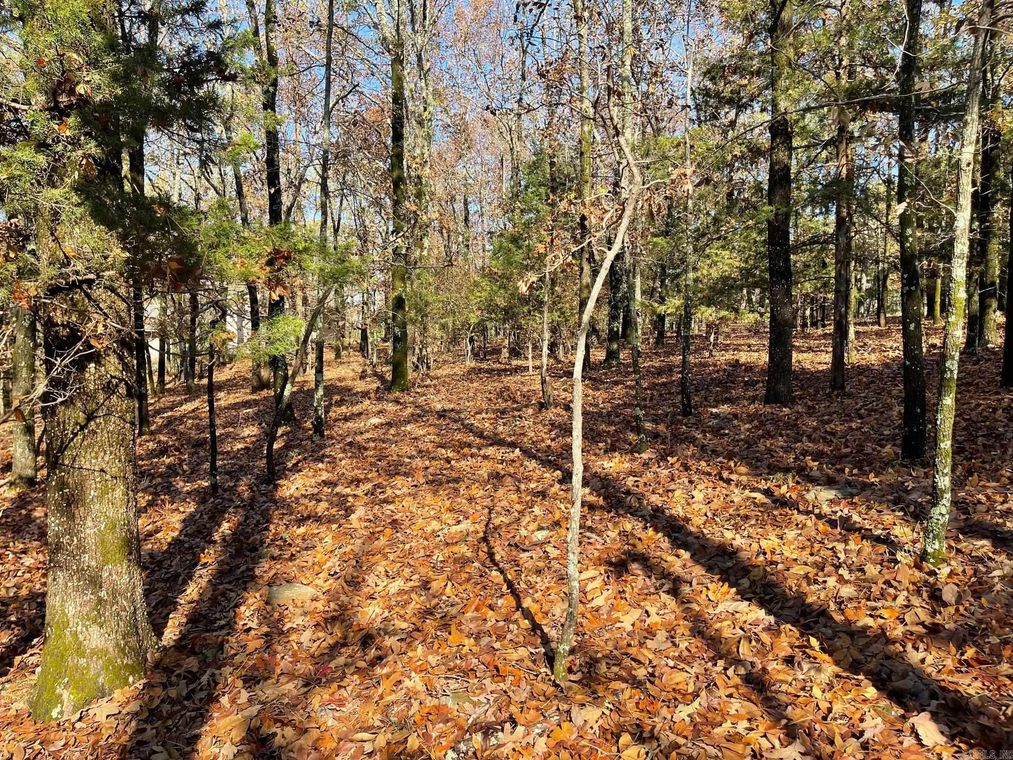 Indian Hills - Land