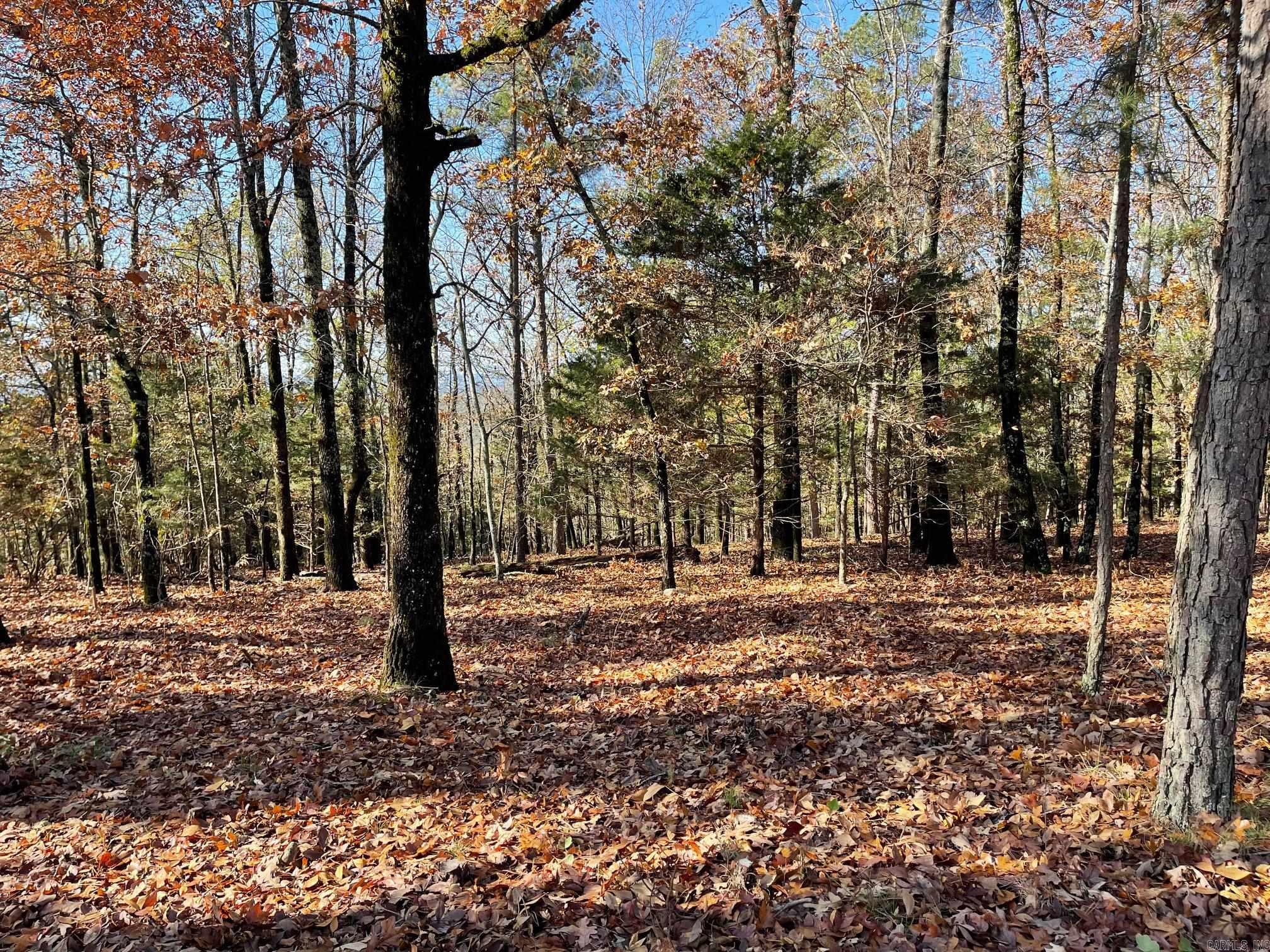Indian Hills - Land
