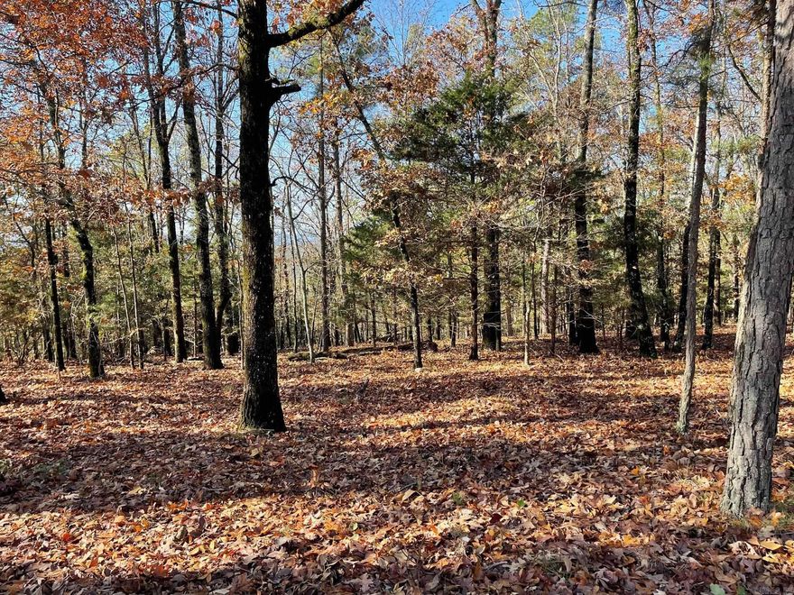 Welcome to your own slice of paradise in beautiful Fairfield Bay, Arkansas! This spacious Lakeview vacant lot offers the perfect opportunity to build your dream home in one of the most desirable locations in the state, with access to a wealth of amenities.  Just minutes away from stunning Greers Ferry Lake. Whether you're an avid fisherman, boater, or simply enjoy relaxing by the water, this location has something for everyone. But that's not all Fairfield Bay also offers a wide range of amenities to its residents, including 3 swimming pools, 2 18-hole golf courses, hiking and biking trails, ATV/UTV trails, pickleball and tennis courts, and a full-service marina. Whether you're looking for outdoor adventure, a friendly game of tennis, or a relaxing day by the pool, Fairfield Bay has you covered. The lot itself is generously sized and offers plenty of room for your custom-built home, as well as any additional amenities you desire. With easy access to utilities including high speed internet, you'll have everything you need to make your dream a reality.   This lot could offer western sunset and sugar loaf island views with clearing some trees.