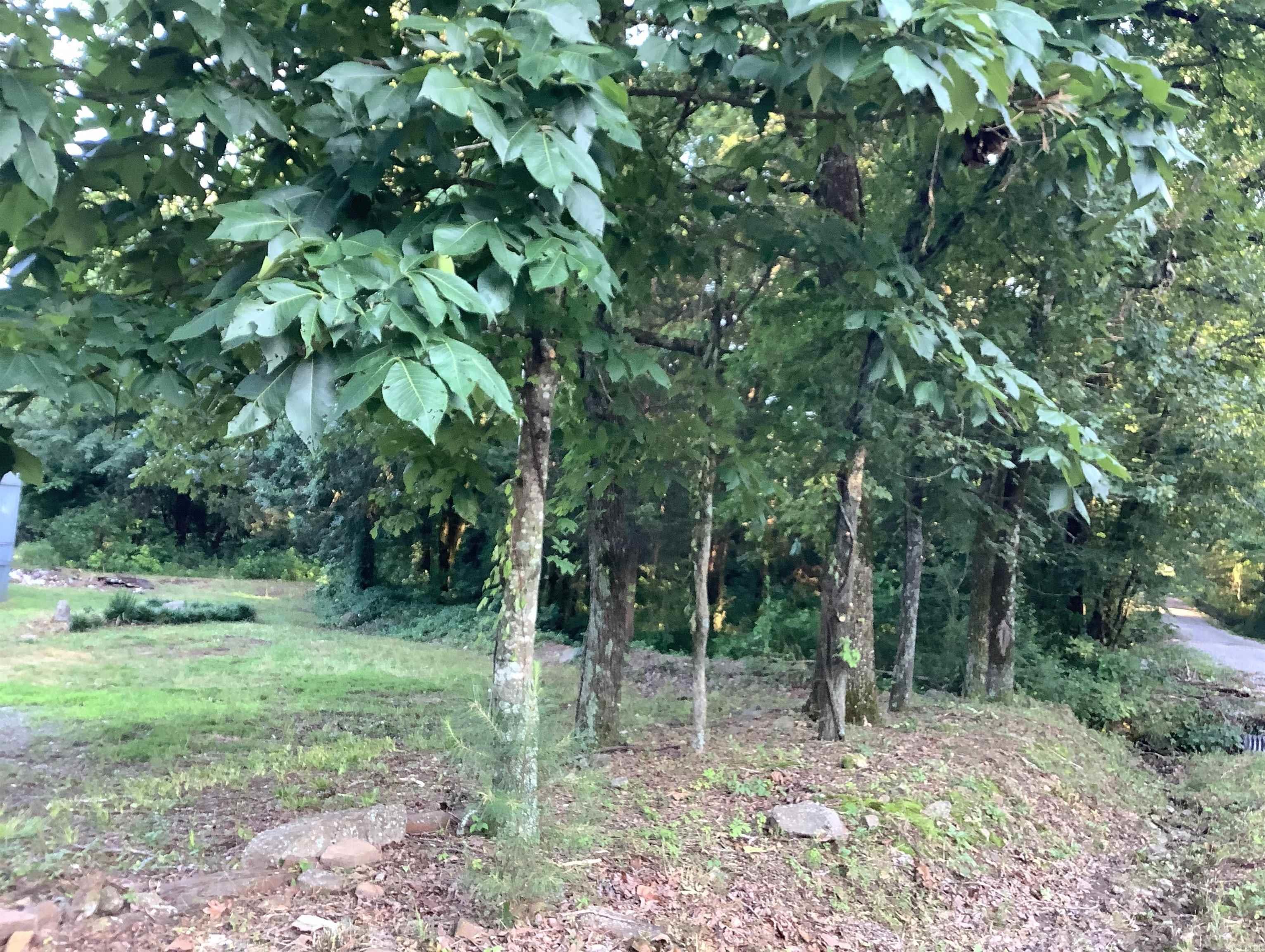 Property is partially cleared and partially wooded with a creek running through it. set up with all utilities, septic, water, electricity on the cleared area. Great area for country living.