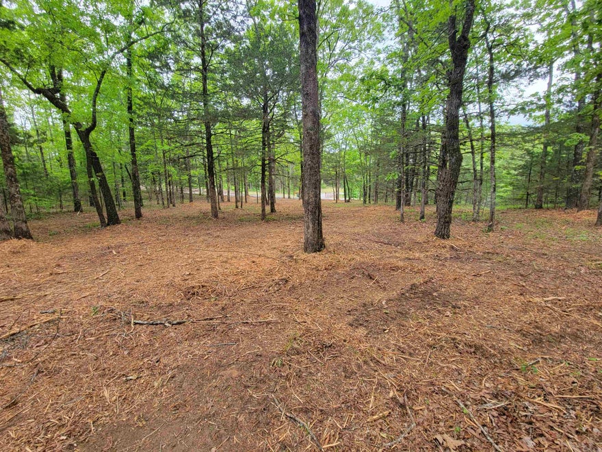 This wooded tract offers mature trees, natural privacy, and a beautiful mix of level and gently sloped terrain. Whether you’re looking to build a custom home, weekend cabin, or simply invest in land with long-term potential, this property offers the flexibility to make it your own. Power and water are available at the road, adding convenience for future development. Located just minutes from Woolly Hollow State Park, you’ll have quick access to hiking, fishing, kayaking, and outdoor recreation while still enjoying the peace and space of country living. 3 miles to Woolly Hollow State Park, 17 miles to Cove Creek Rec Area-Greers Ferry Lake, 10 miles to the heart of Greenbrier, and 20 miles to Conway.