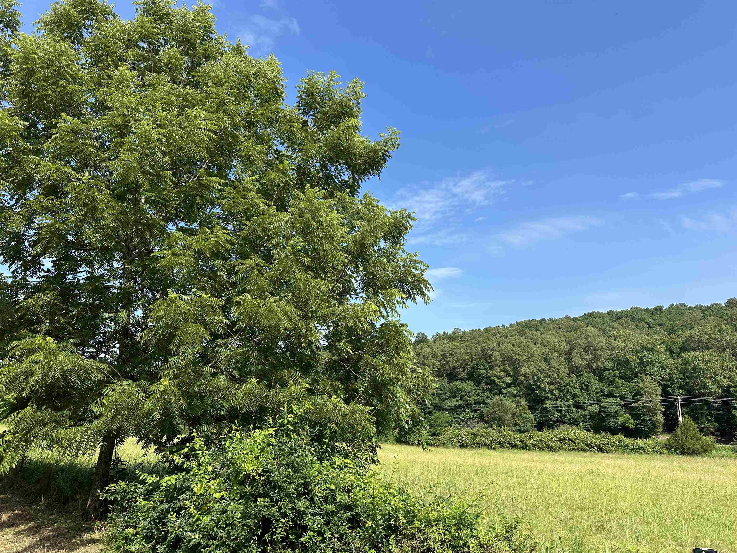 Welcome to an extraordinary 23 ac m/l tract just a few hundred feet from the banks of the world-renowned White River! Perfect for builders, developers, or investors, this rare piece of land offers endless possibilities-from a private estate to a thoughtfully designed river community. Located near public boat ramps & just upstream from the 2nd largest shoal on the Whiter River- accessible only by boat-this property is a dream for trout fishing enthusiasts, nature lovers in the heart of Arkansas's outdoor paradise. Whether you're envisioning a series of custom homes, vacation retreat, or investing in one of the most scenic locations in the area, this land provides unmatched potential & access to world-class outdoor recreation. Don't miss this chance to own a piece of the Ozarks where river legends are made. Your vision starts here!