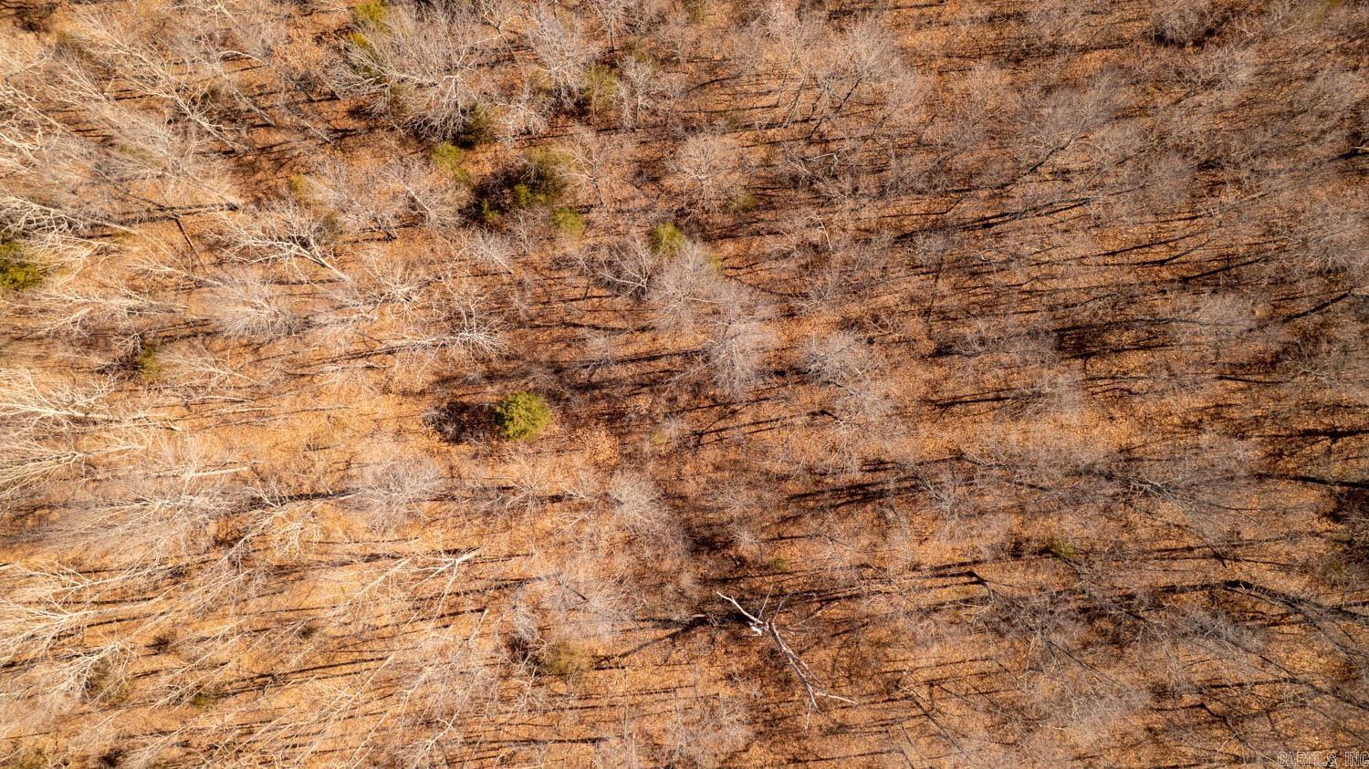 Not in Subdivision - Farm