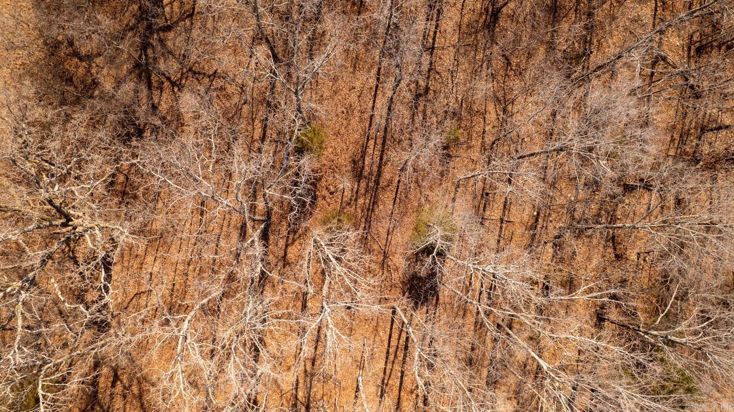 Not in Subdivision - Farm