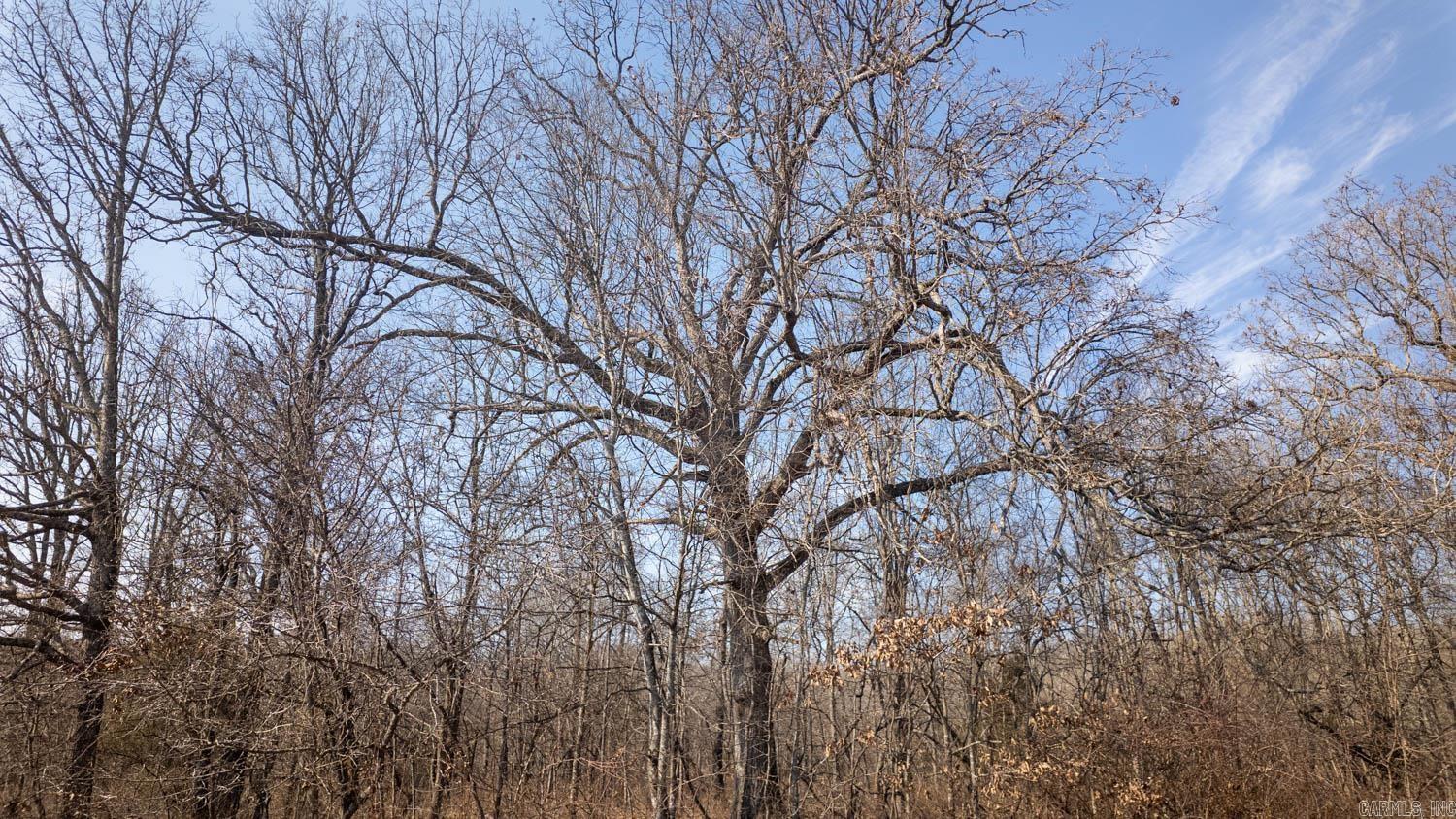 Not in Subdivision - Farm