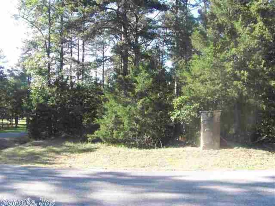 This lot is in a great location!!!  It is close to the lake, close to the Tannenbaum Golf Course, and right outside of town.  This lot is wooded, and looking for a new owner.  This 2.3 acre lot gives you plenty of space to build the perfect home, or; you could just invest and own some great property.