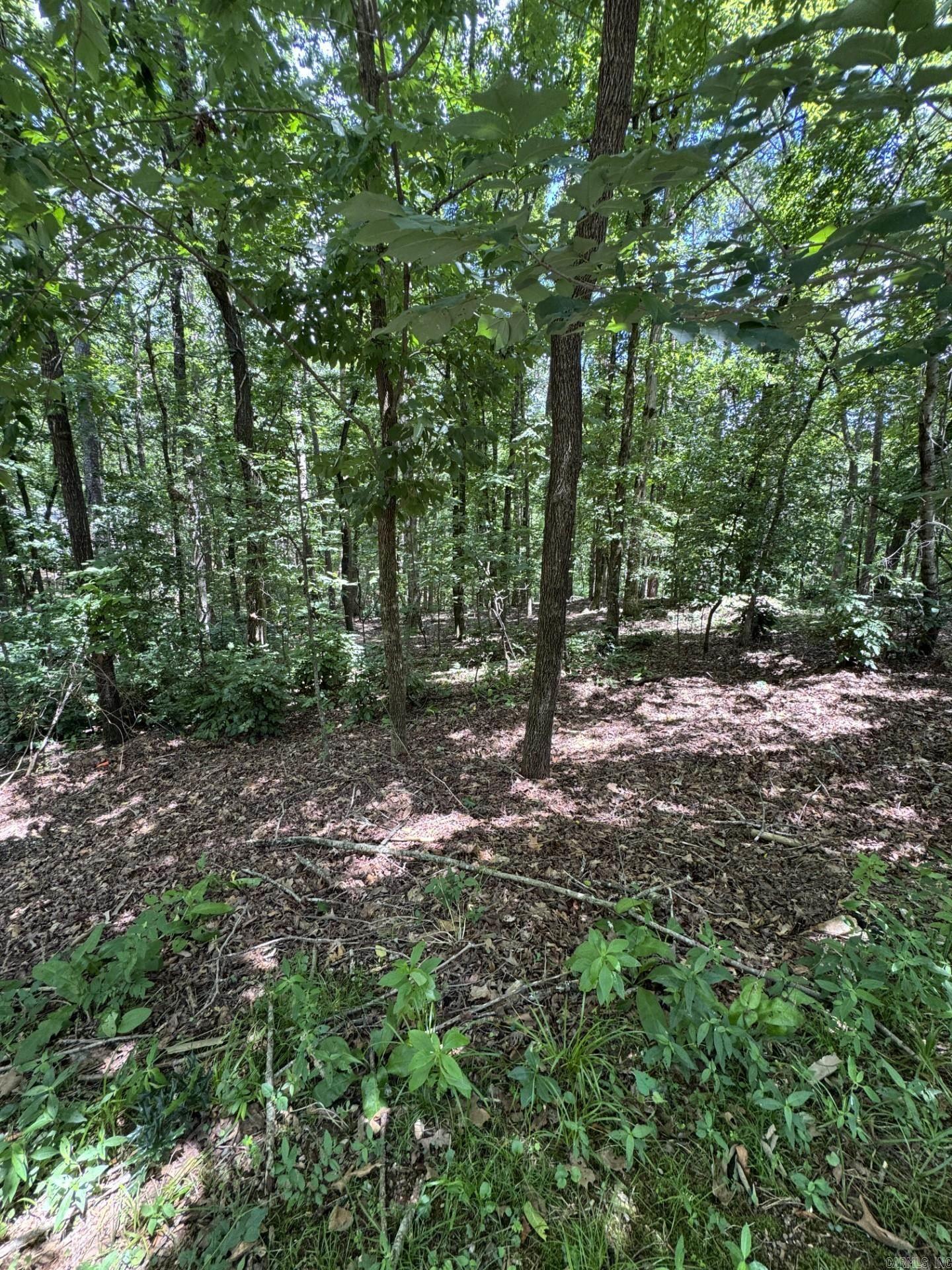 Just 5 mins from the West gate of HSV, you'll find this quiet wooded lot in a well-established neighborhood. Making it the perfect location for your new dream home! Close to shopping, restaurants and golf. Hot Springs Village offers 11 lakes, 9 professionally designed golf courses, tennis courts, pickle ball and countless community activities to get involved in. Stunning views and walking trails around every turn. Don't pass this one up!