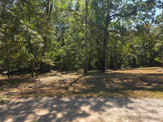 7 MARY DR, HIGHLAND, AR 72542 - Image 69ebcbfa0c736216bae58b257a96c15d/1276802436
