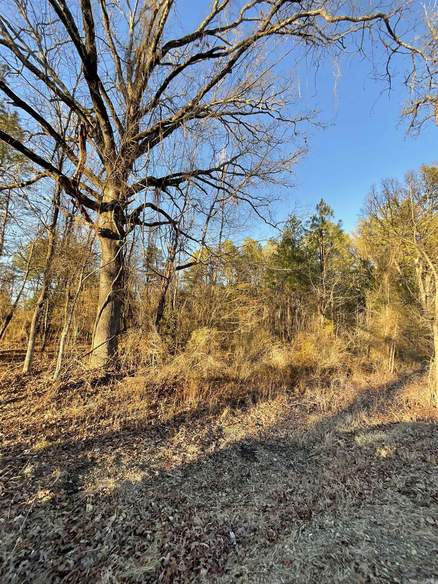 Metes & Bounds - Land