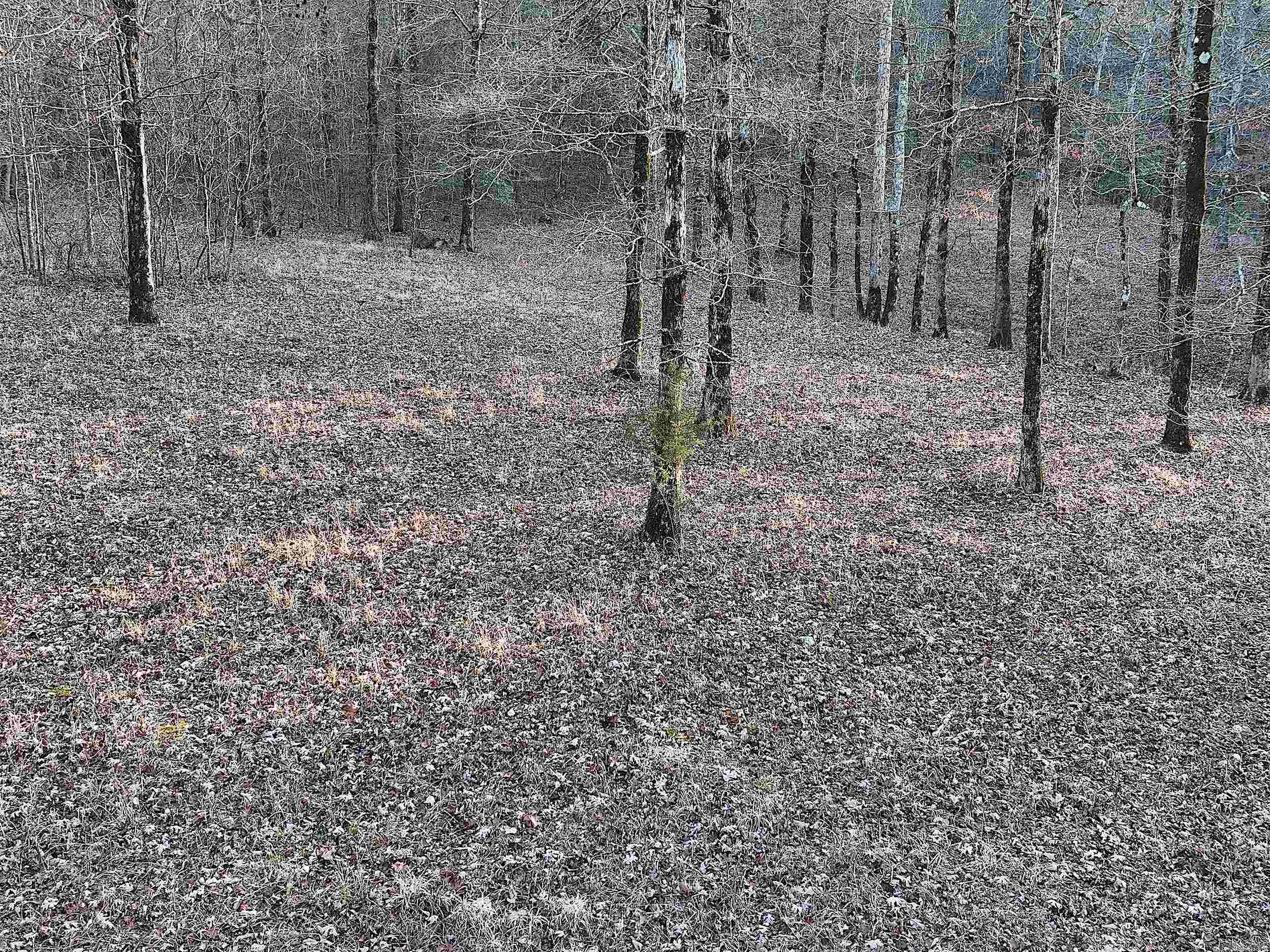 RIVERCHASE - Residential