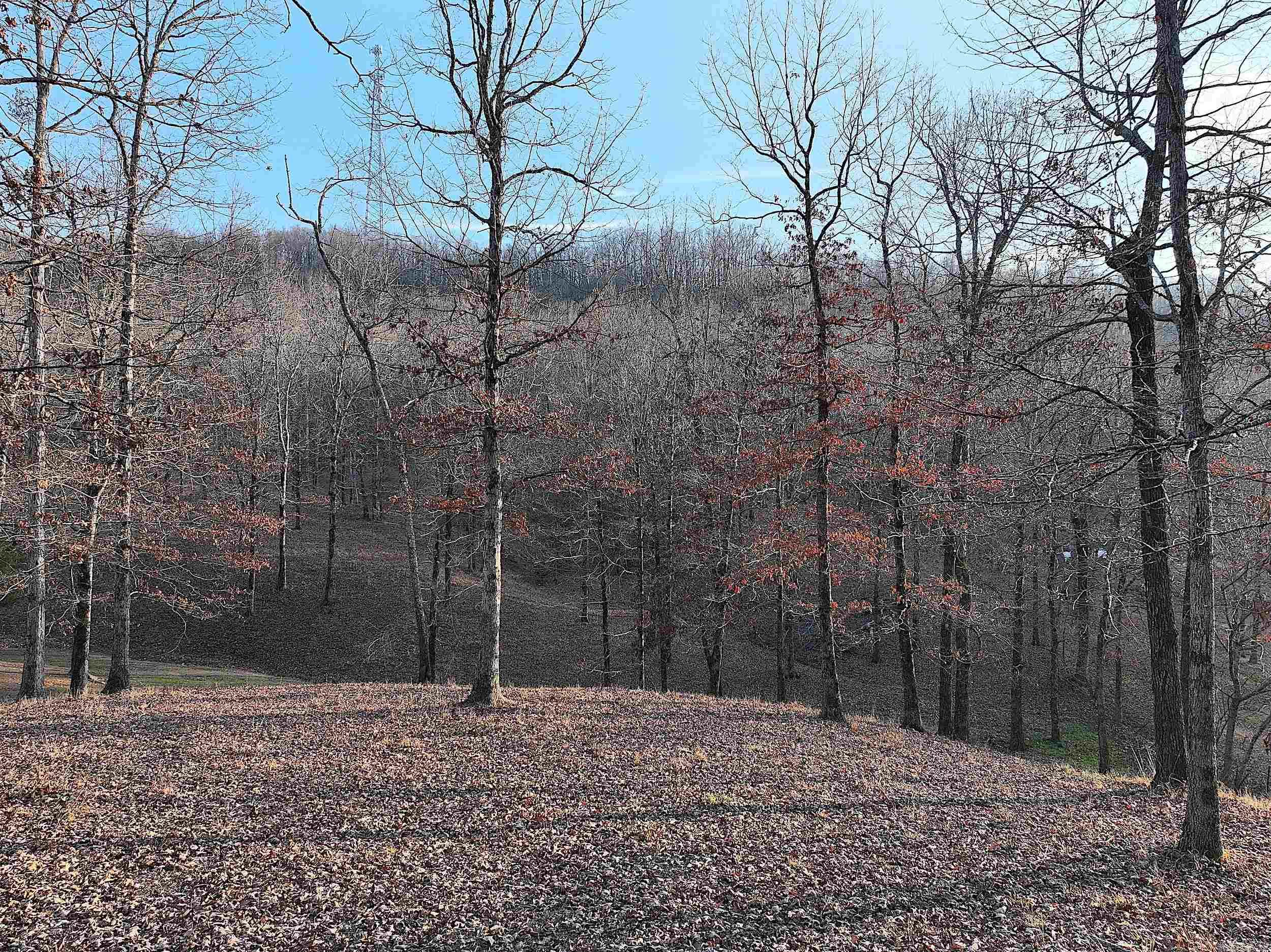 RIVERCHASE - Residential