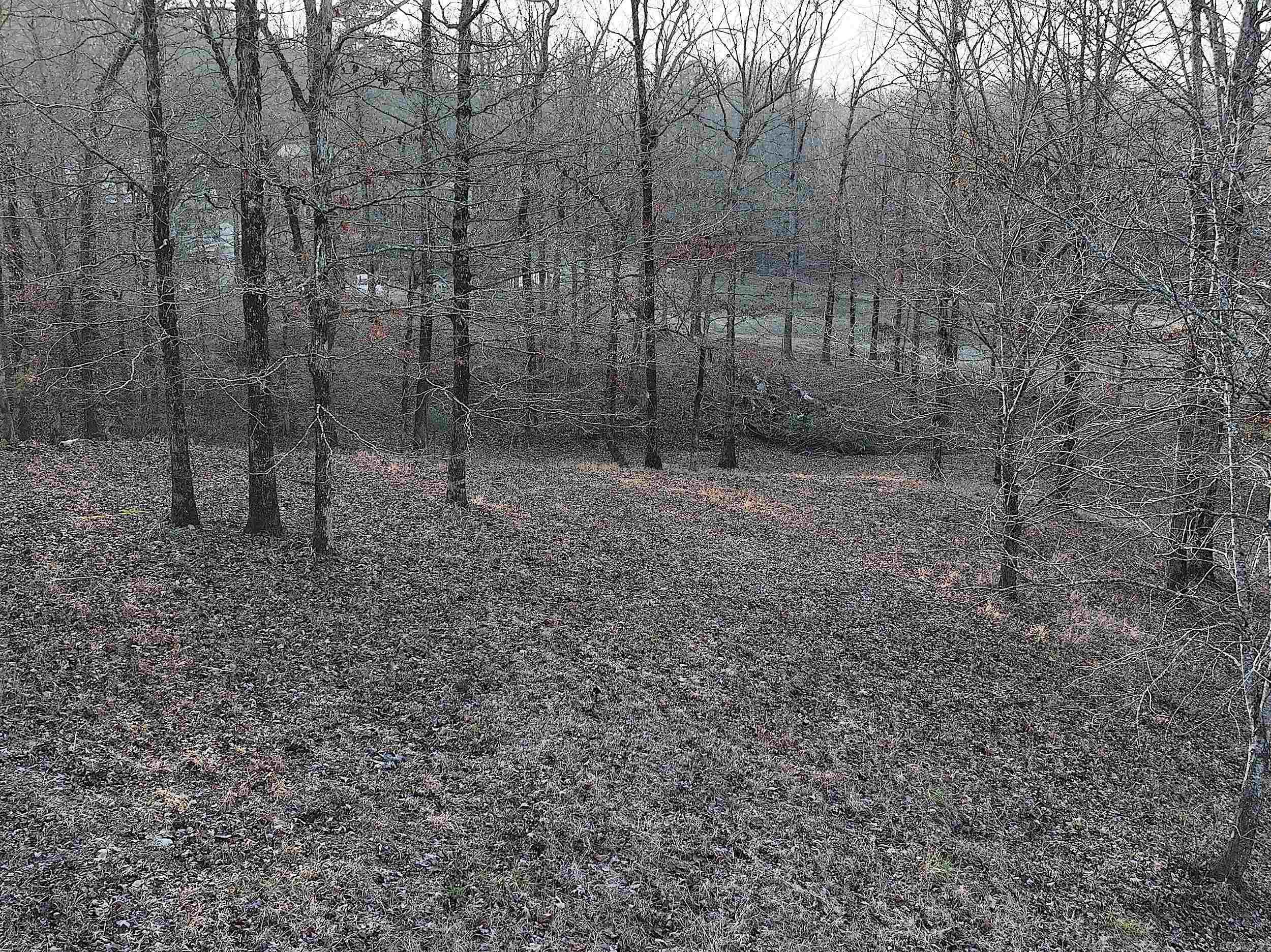 RIVERCHASE - Residential