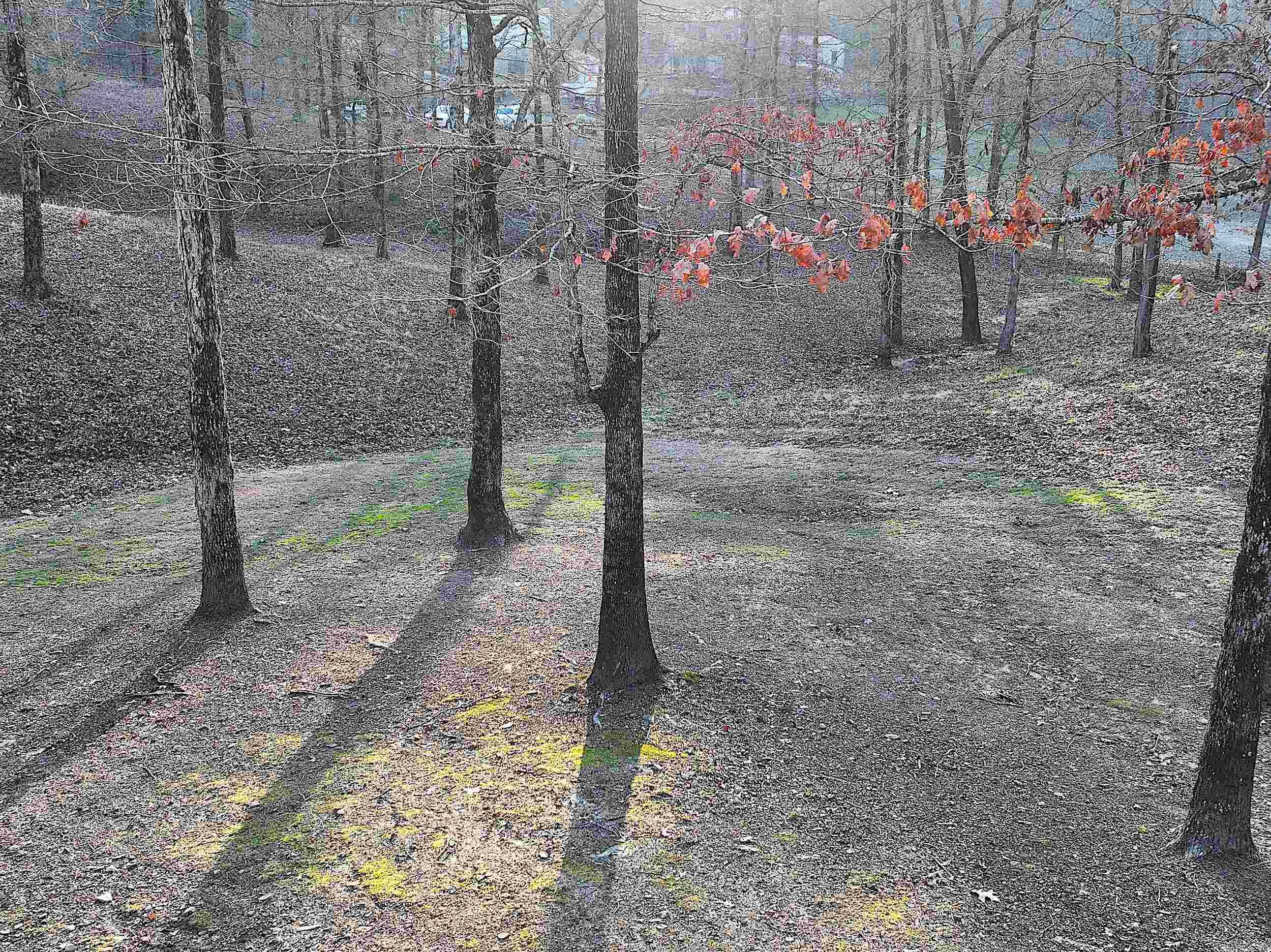 RIVERCHASE - Residential