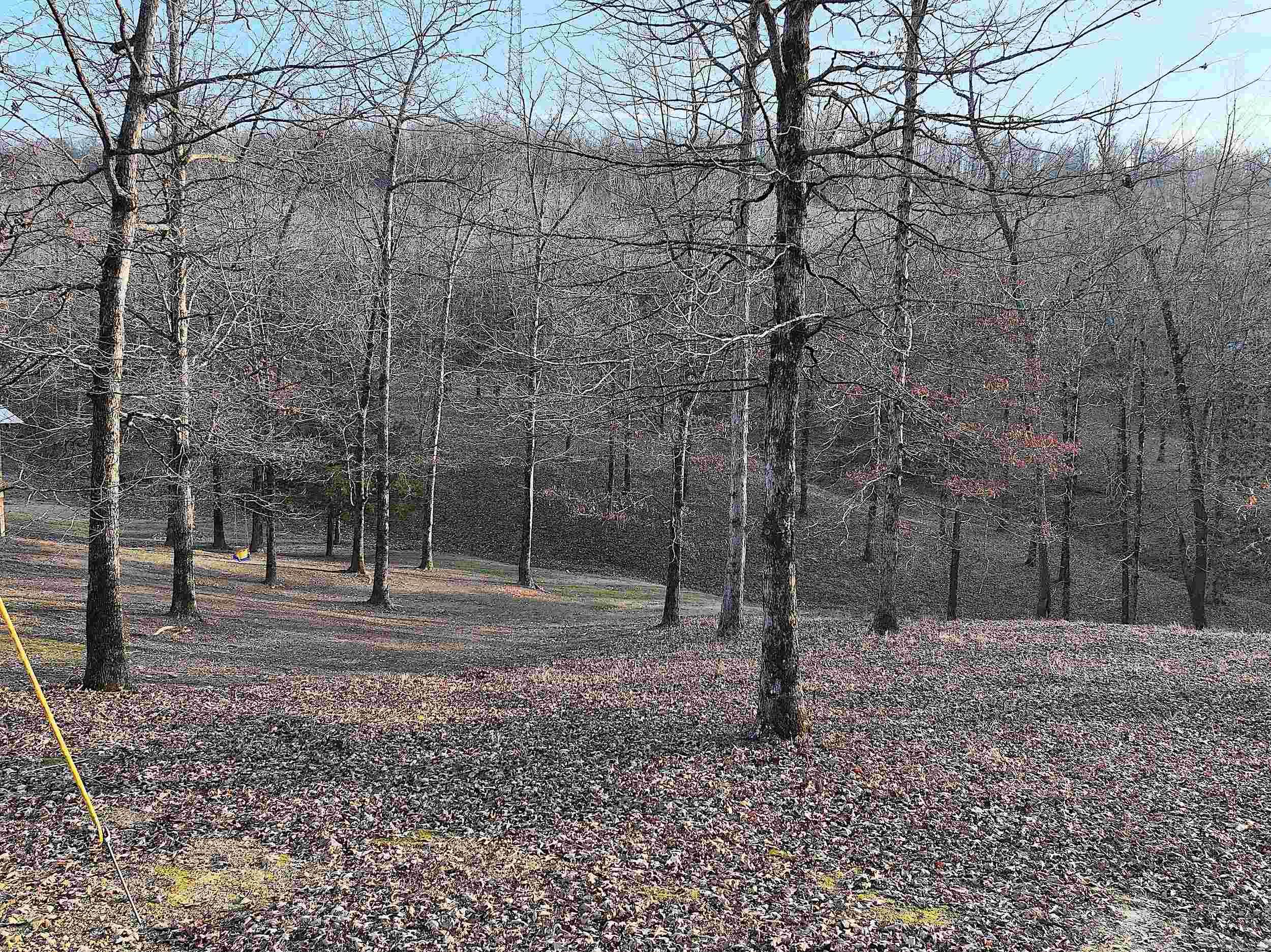 RIVERCHASE - Residential