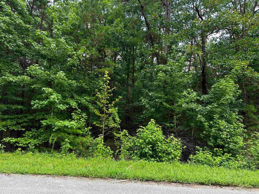 Great Neighborhood to build your dream home at the lake. Undergrounds utilities already in place!  Mineral rights do not convey.