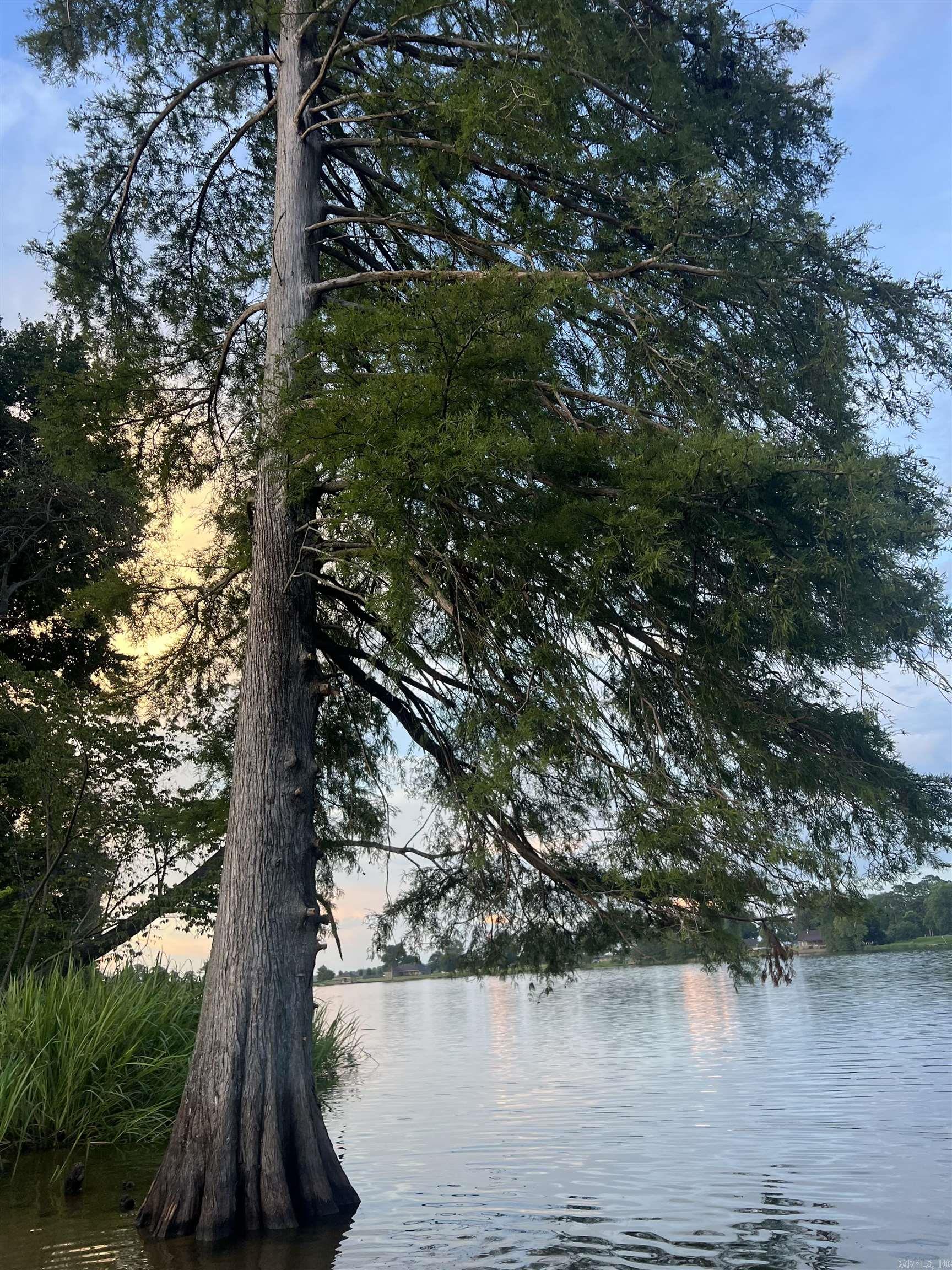 Lakeland Resurvey - Land