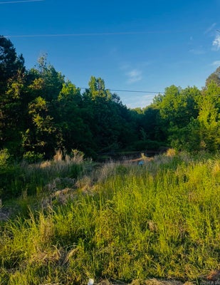 ADDRESS PRIVATE, MONTICELLO, AR 71655 - Image 6a09aae1d19b620981da9a4faed3f46e/3160118165