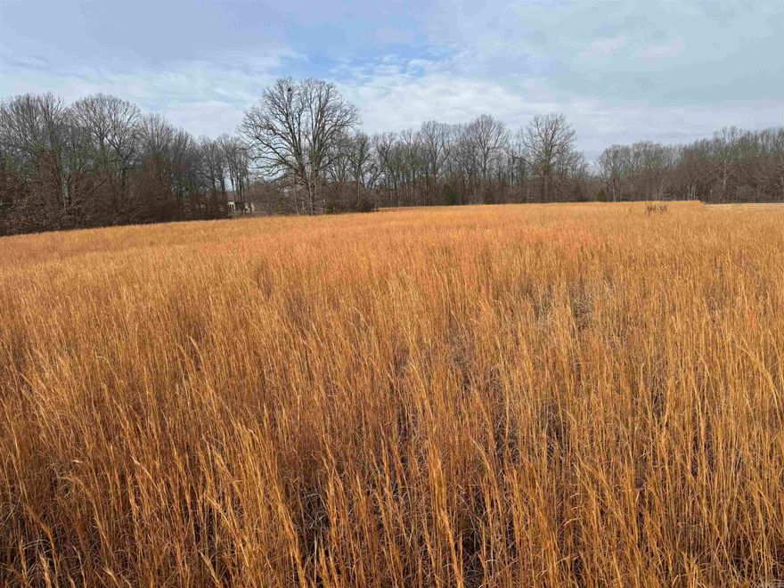 Breathtaking views from this beautiful lot in Terra Hills!! This property includes shared pond access on the back of the lot. Build your dream home on this stunning 5 Acre property in the Brookland School district and one of the area's most scenic developments!