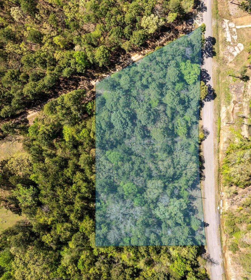 Looking for a property with no restrictions close to Conway this is the place for you. Wooded lot with lots of privacy.