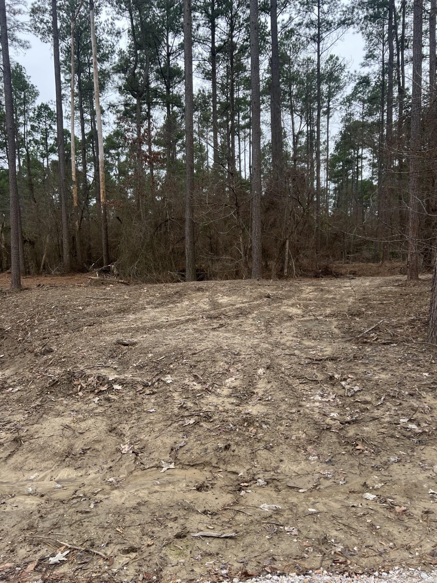 This beautiful acreage is a combination of cleared land and a crop of timber waiting to be harvested; estimate of $40k or more of standing pine/hardwood timber. A new gravel road has been installed and the homeplace is already cleared. Efforts to put in utilities have been started with electricity and water, this information will be shared with buyers. There are no restrictions on this property, and the wildlife is plentiful as you can see from the pictures. It's time to come enjoy the peace and quiet of the country. Property is perfect for year around or a vacation spot. Minutes from Lake DeGray Lennox Marcus boat ramp, with road frontage on Red Wings Road and Osage Loop. Call or text today to set up a showing. (See agent remarks)