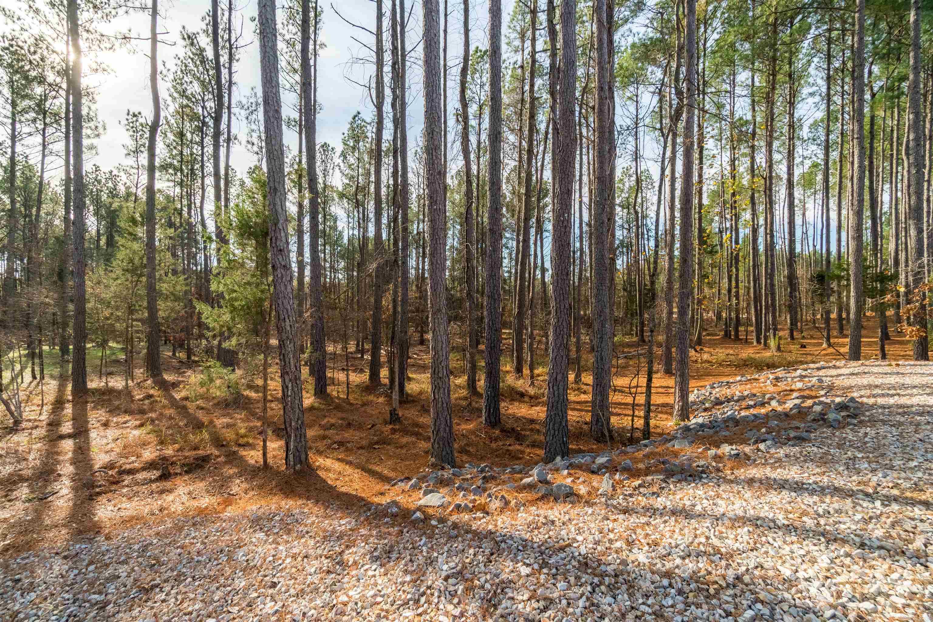 Isabella - Residential