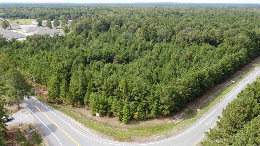 This is a great location for commercial potential. Could be a gas station, storage units, dollar general, ect. This property has great earning potential with it being literally at the end of the off ramp. Call or text today!
