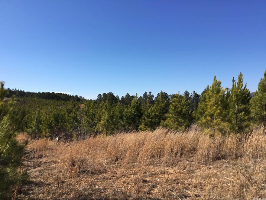 SELLER IS RETAINING MINERAL RIGHTS.