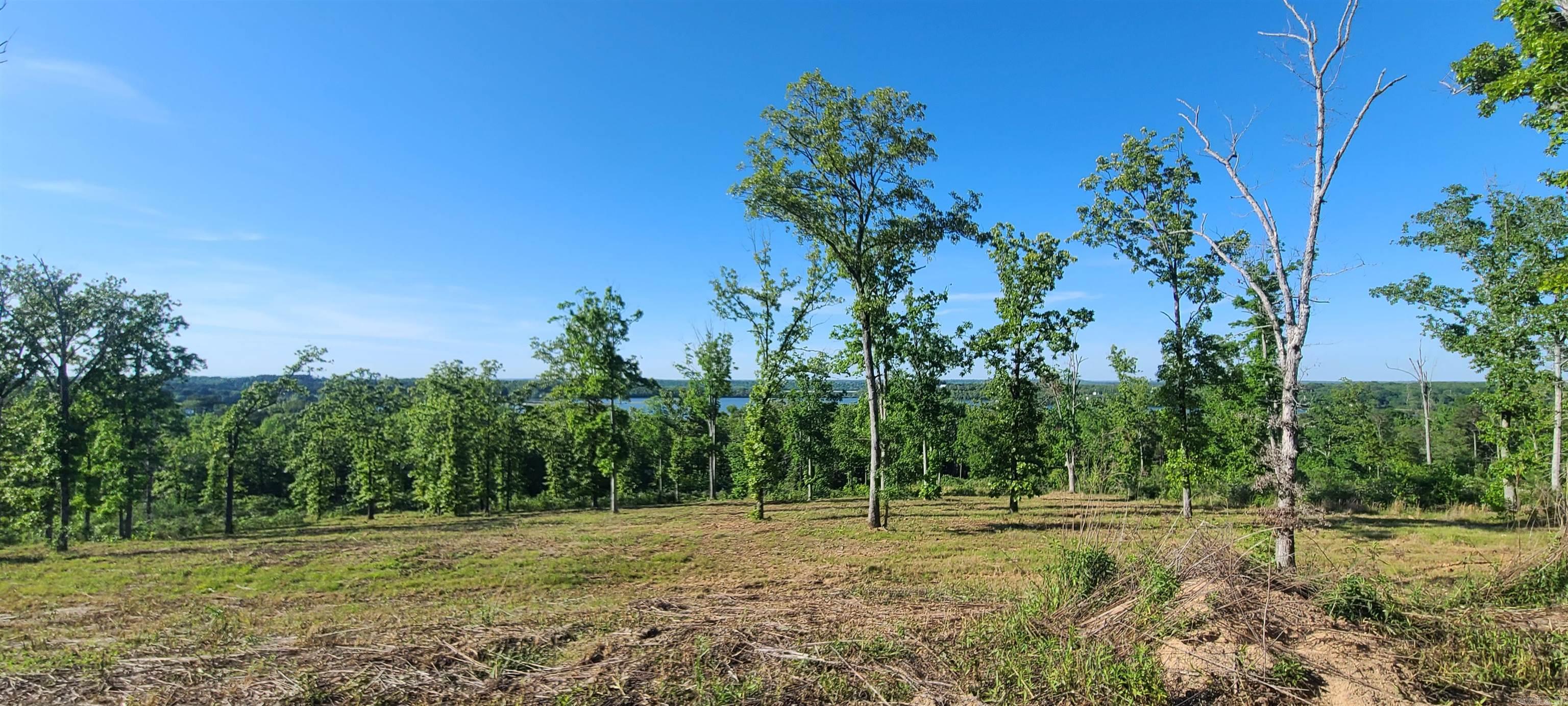 Perfect location to build your dream home overlooking Beaverfork Lake. The views of the lake as you travel Waterview Drive are breathtaking-- and this property is such a rare find. This is one of the largest lots in North View Estates and it has some of the most stunning lake views available. Property has already been perc tested for septic system, has access to Conway Corp Utilities, natural gas and Beaverfork Water. 3,000 sq ft building minimum, use any builder choose with no timeline restrictions. Covenants & Restriction and Recorded Plat available.