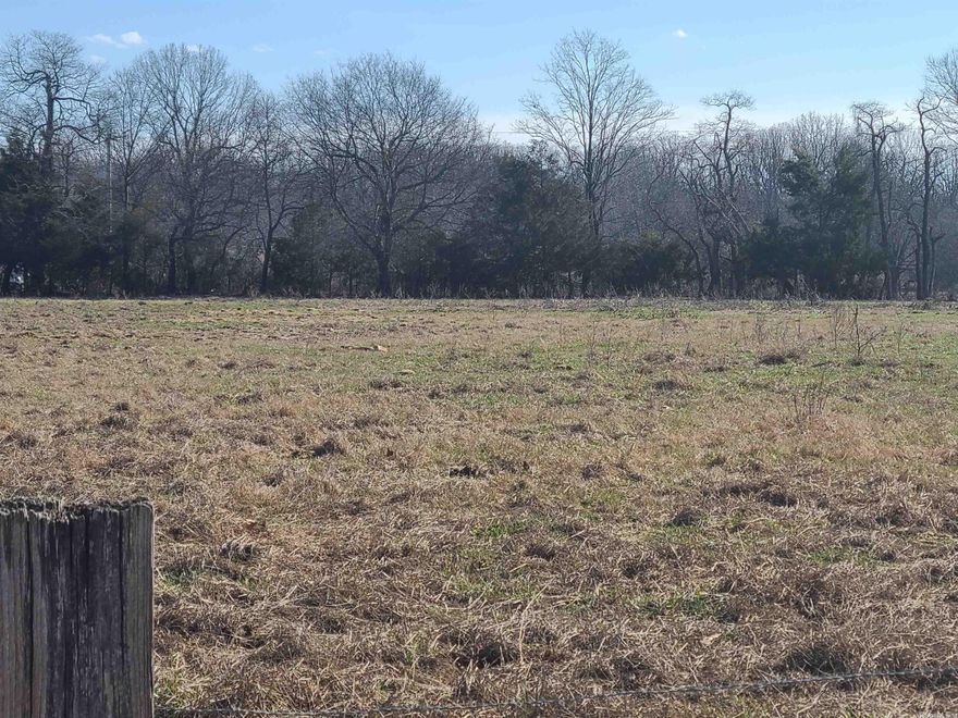 THIS IS A REAL ESTATE AUCTION TO BE HELD MARCH 18, 2023 10:00 am at 405 8th street, Black Rock, AR  Buyer required to pay 10% down to be held in escrow until closing.