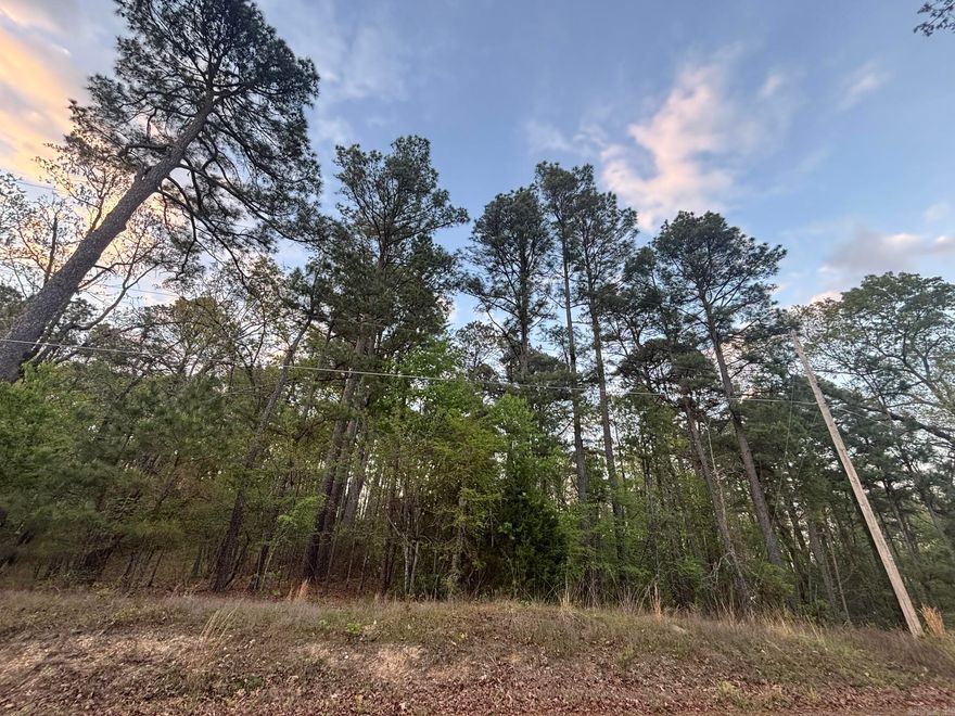 Rare find close to Lake Hamilton. The perfect site for your dream home to surround yourself with natures beauty. Little over 6.44 acres m/l of blank canvas to build your vision. Don't wait, call today for your personal tour!