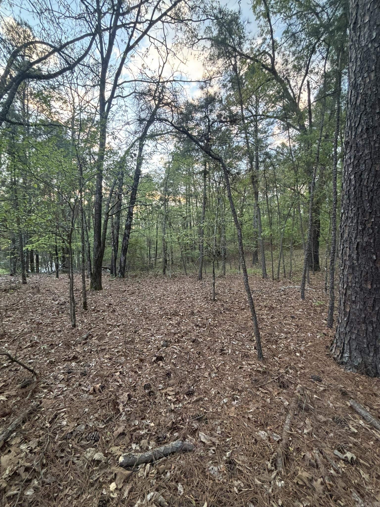 Metes & Bounds - Land