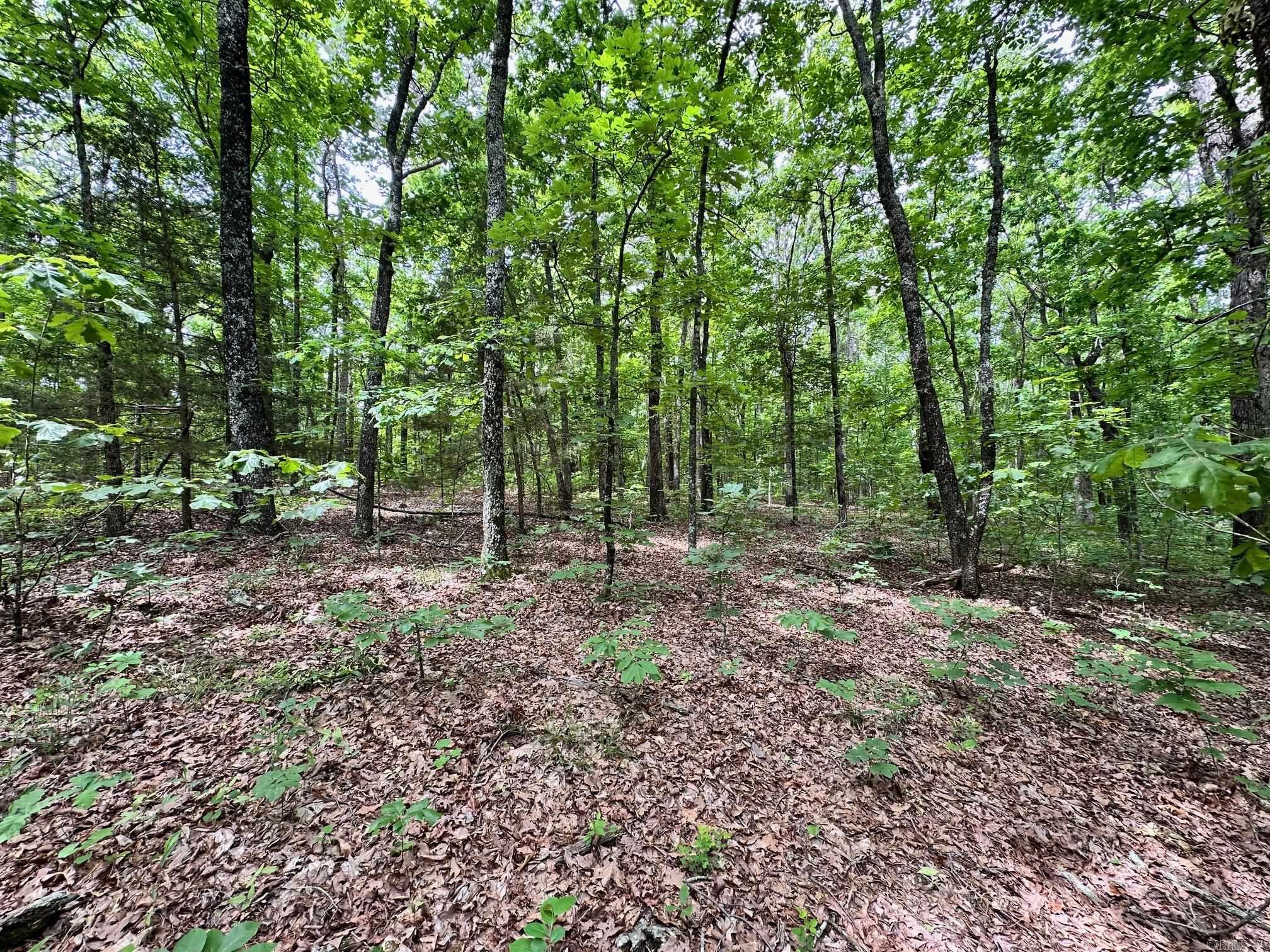 Pryor Mountain Estates - Land