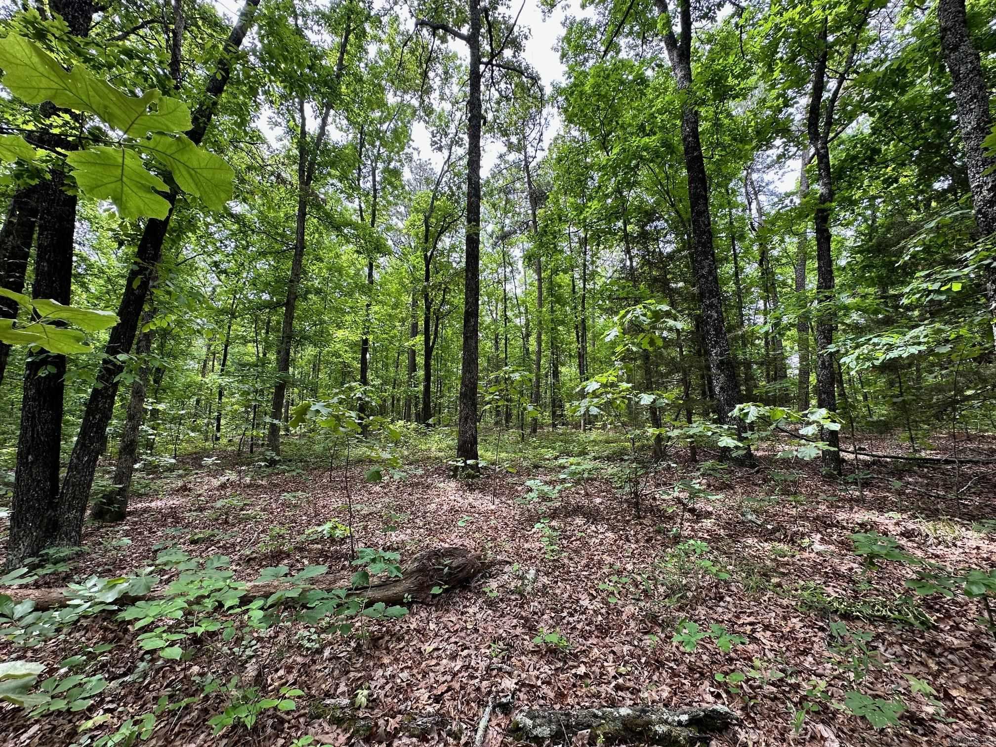 Pryor Mountain Estates - Land