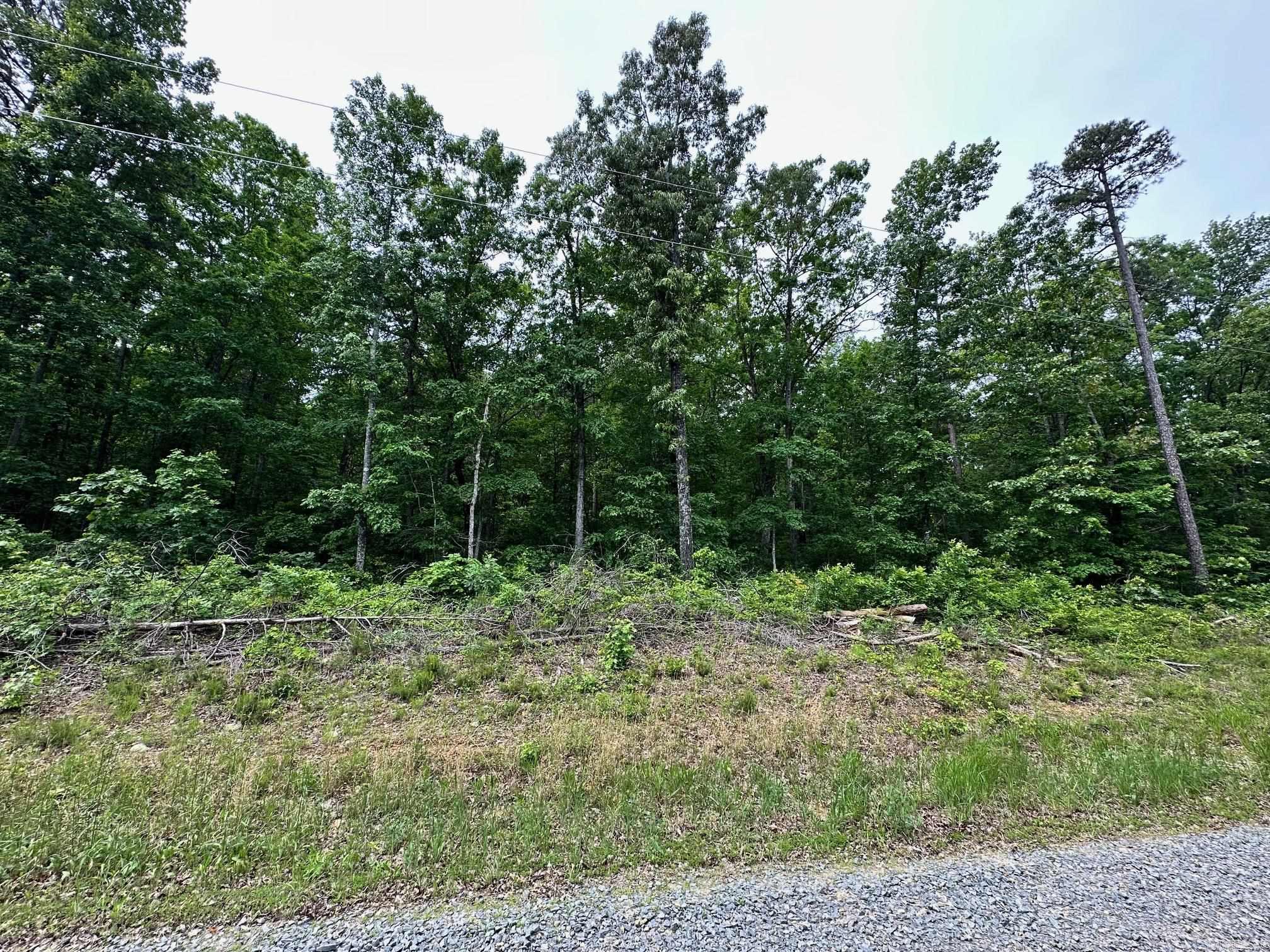 Pryor Mountain Estates - Land