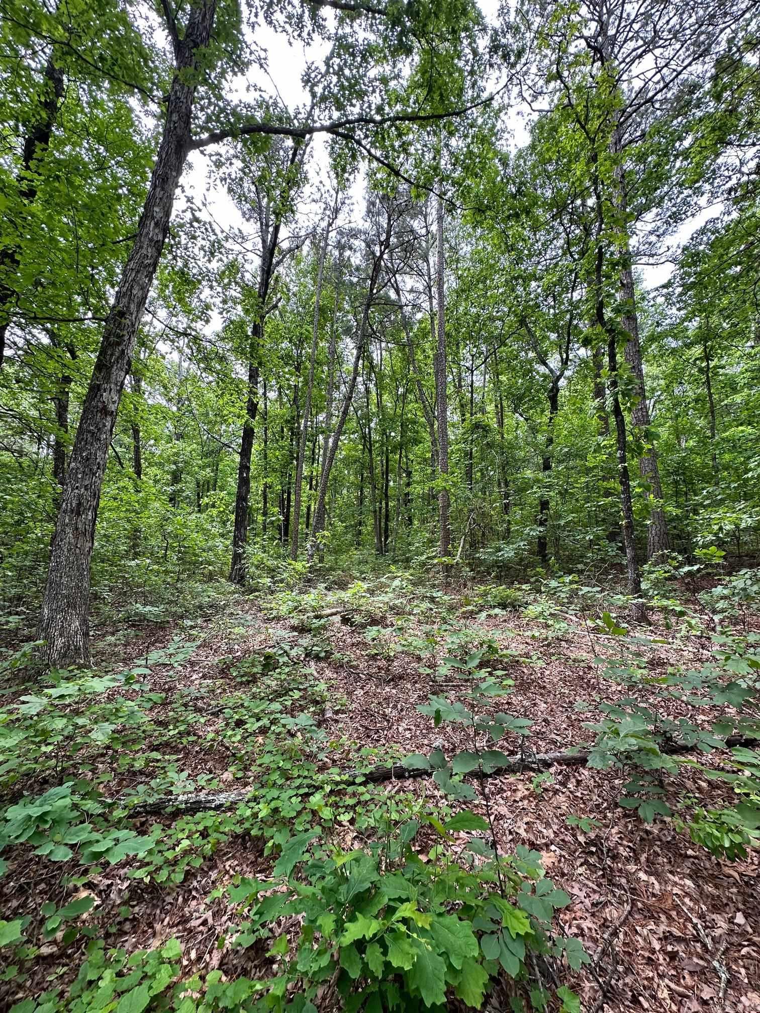 Pryor Mountain Estates - Land