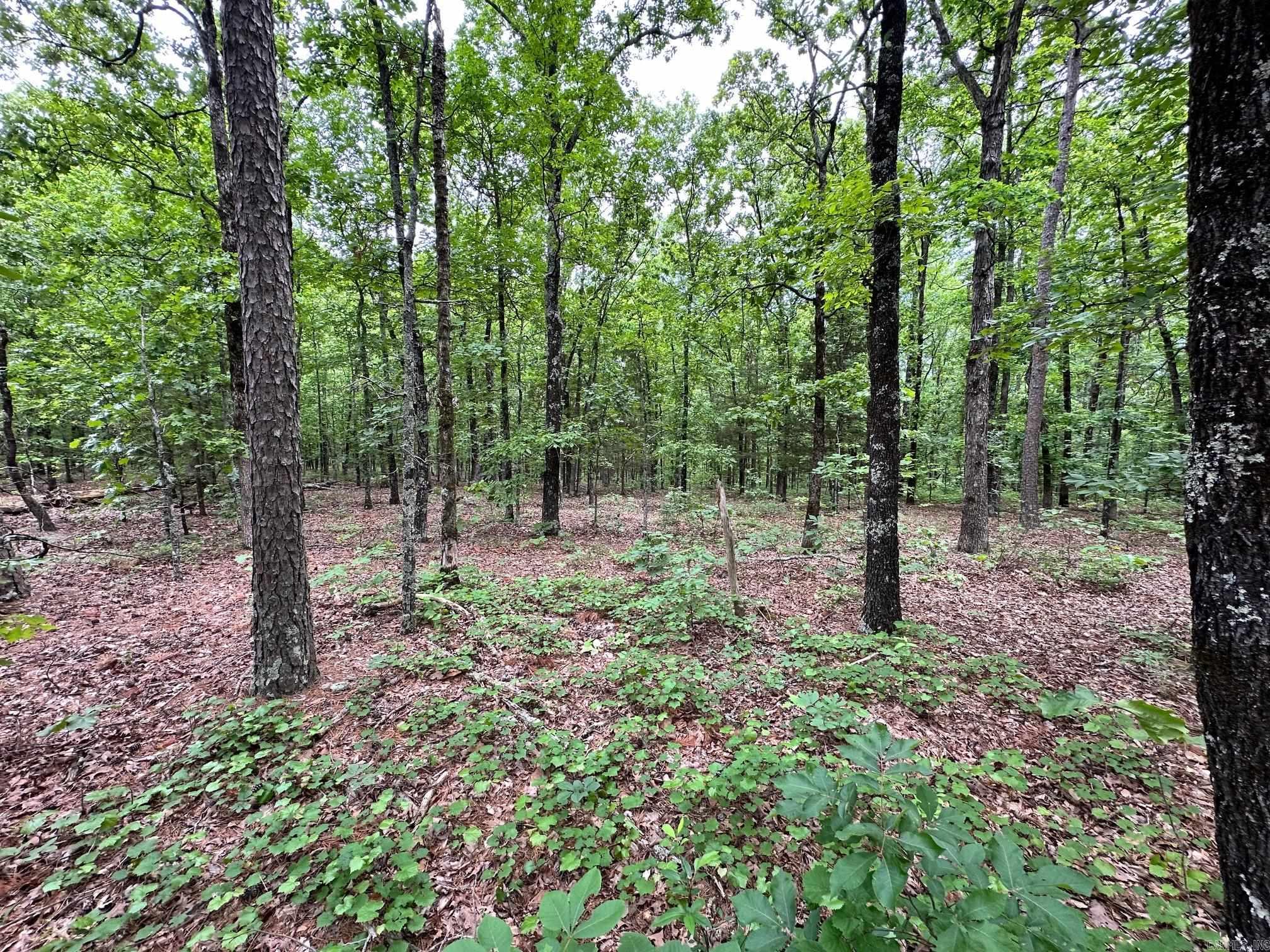 Pryor Mountain Estates - Land