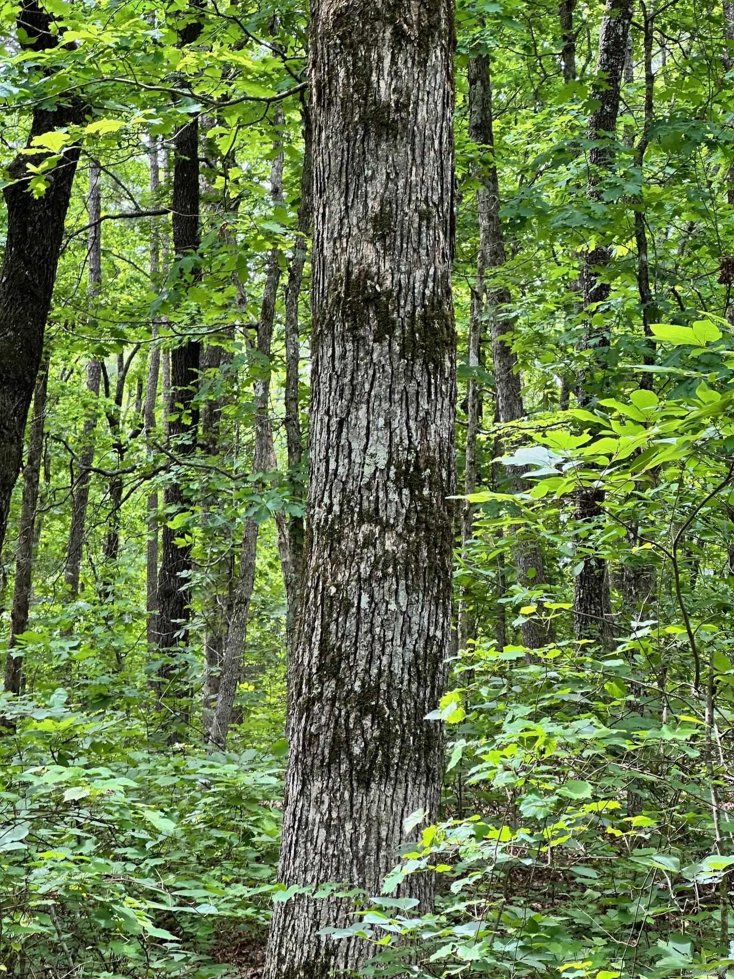 Pryor Mountain Estates - Land