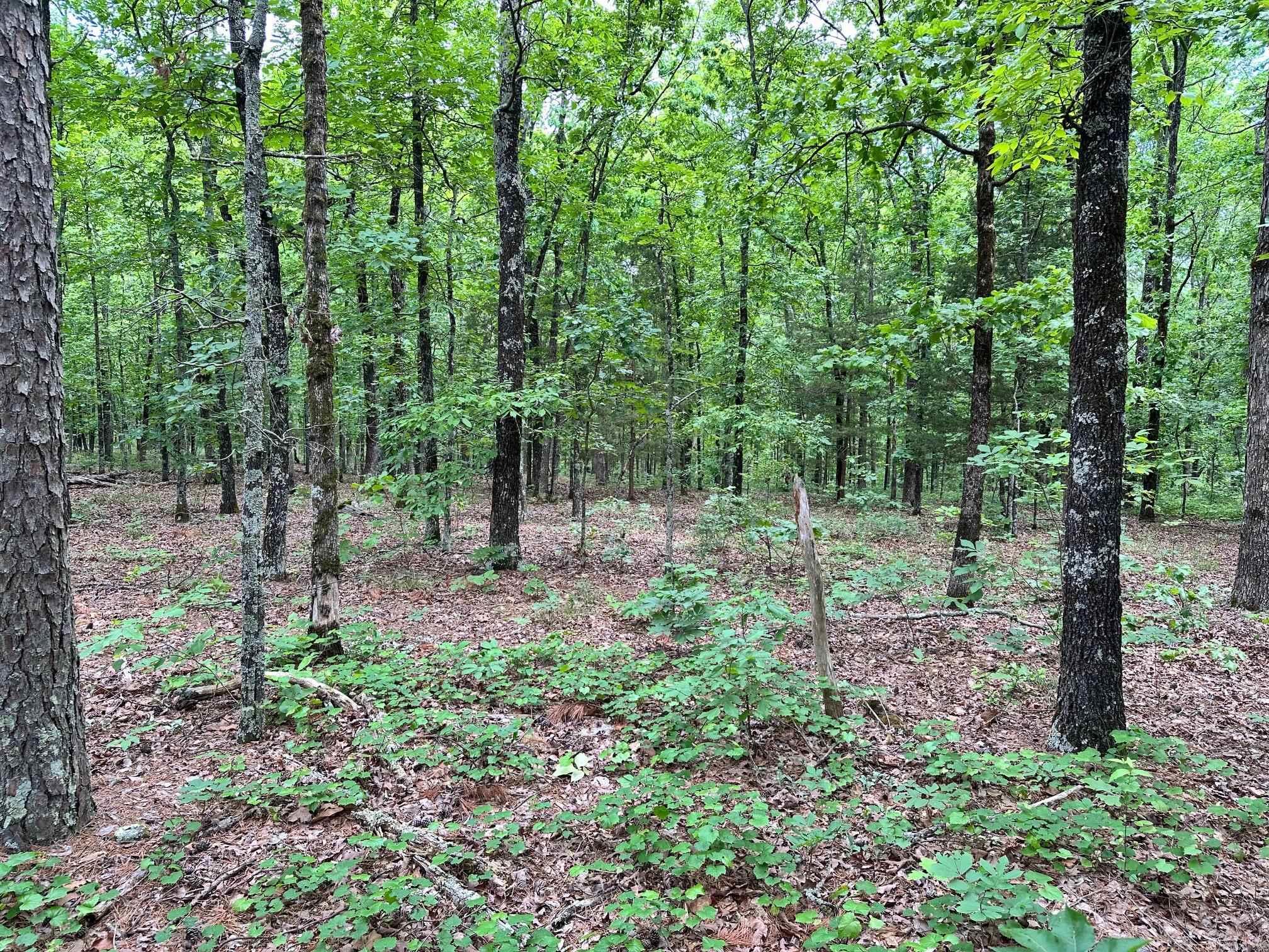 Looking for a place to build that cabin, weekend get-a-way or your dream home near Greers Ferry Lake? This 3.76 acres is a beautiful place with big mature trees and plenty of privacy. This lot has frontage on Hwy 16 (Edgemont Road) as well as Pryor Mountain Drive. The lot is in a culdesac at the end of Pryor Mountain Road. Water & Electric available at the road. Less than 10 minutes from Greers Ferry Lake and 25 minutes from the Little Red River, this beautiful lot is a great place to build. Don't let this spot get away from you, schedule your showing today with Marty Sikes @ Arkansas Land Company.