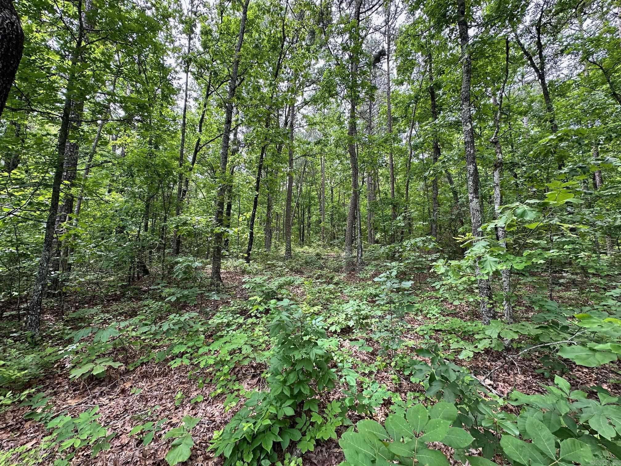 Pryor Mountain Estates - Land