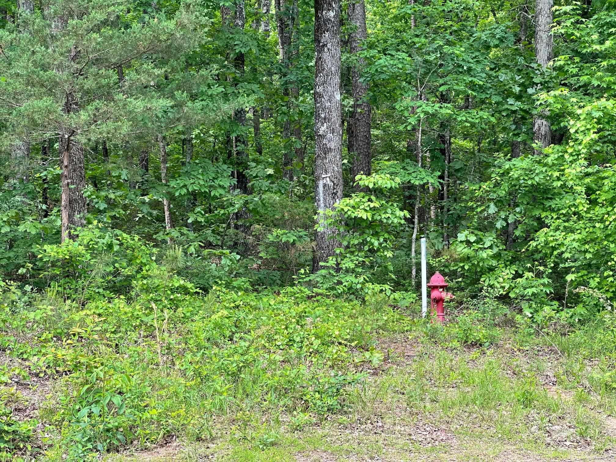 Pryor Mountain Estates - Land