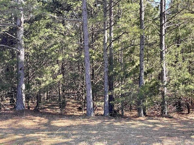 Welcome to your own slice of paradise in beautiful Fairfield Bay, Arkansas! This spacious vacant lot offers the perfect opportunity to build your dream home in one of the most desirable locations in the state, with access to a wealth of amenities. Just minutes away from stunning Greers Ferry Lake. Whether you're an avid fisherman, boater, or simply enjoy relaxing by the water, this location has something for everyone. But that's not all Fairfield Bay also offers a wide range of amenities to its residents, including 3 swimming pools, 2 18-hole golf courses, hiking and biking trails, ATV/UTV trails, pickleball and tennis courts, and a full-service marina. Whether you're looking for outdoor adventure, a friendly game of tennis, or a relaxing day by the pool, Fairfield Bay has you covered. The lot itself is generously sized and offers plenty of room for your custom-built home, as well as any additional amenities you desire. With easy access to utilities and services, including water, sewer, and electricity, you'll have everything you need to make your dream a reality. Buyer to pay all closing costs and title insurance.