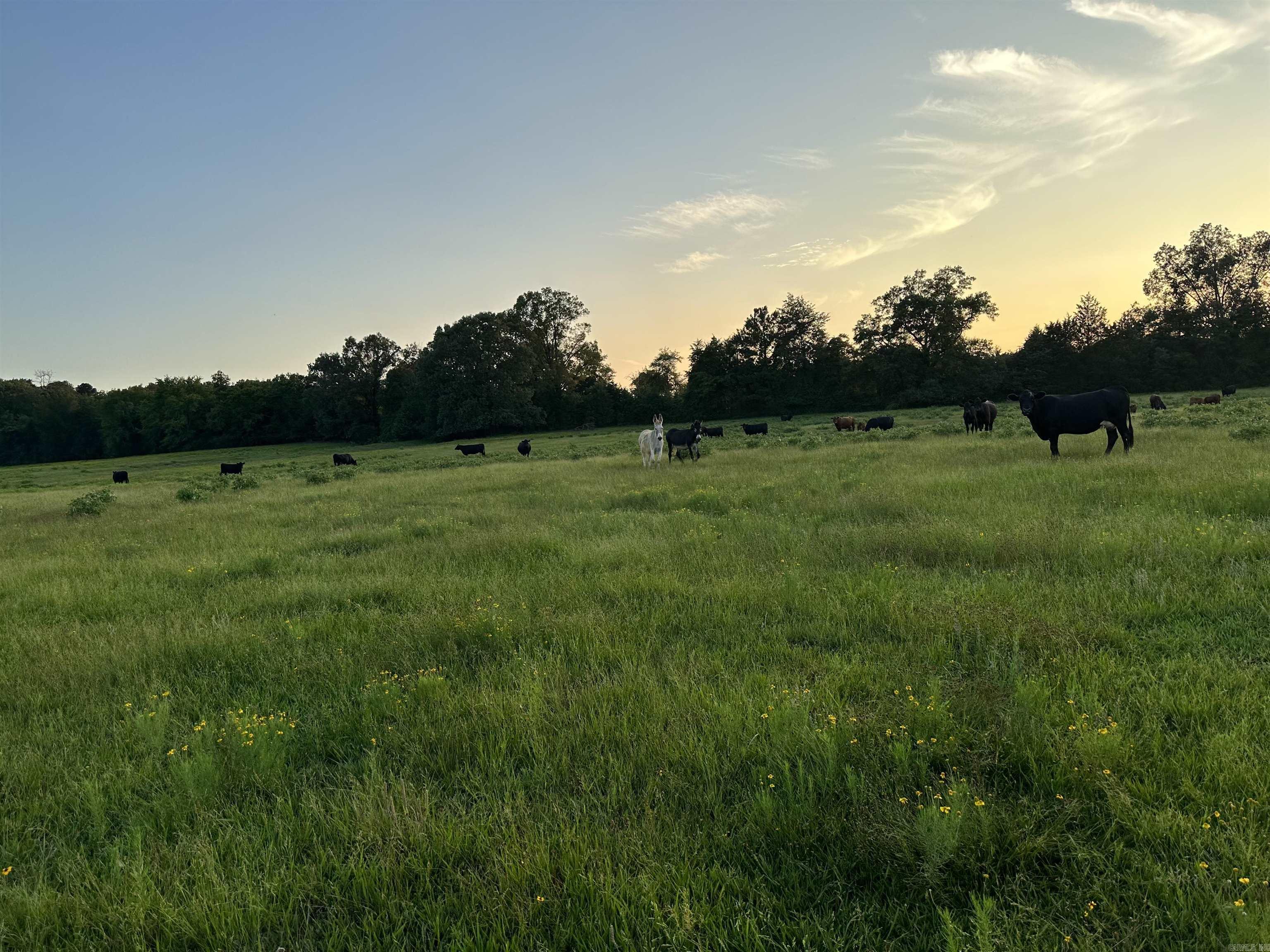 Metes & Bounds - Land