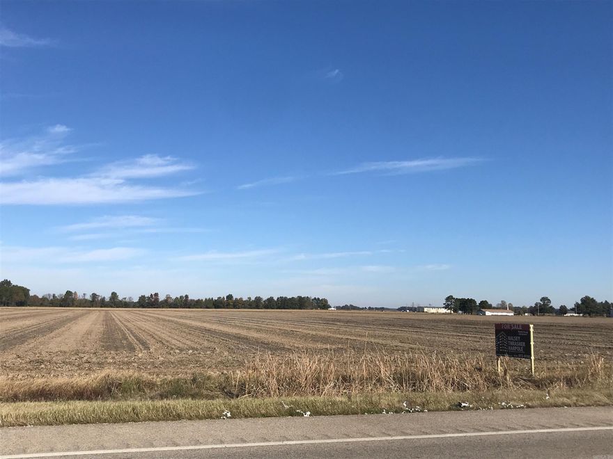 Farmland with good production located on the Main Artery coming into Jonesboro from Lake City. Good frontage on the highway could lead to development of Industrial Sites. Currently cultivated in Bean or Corn.