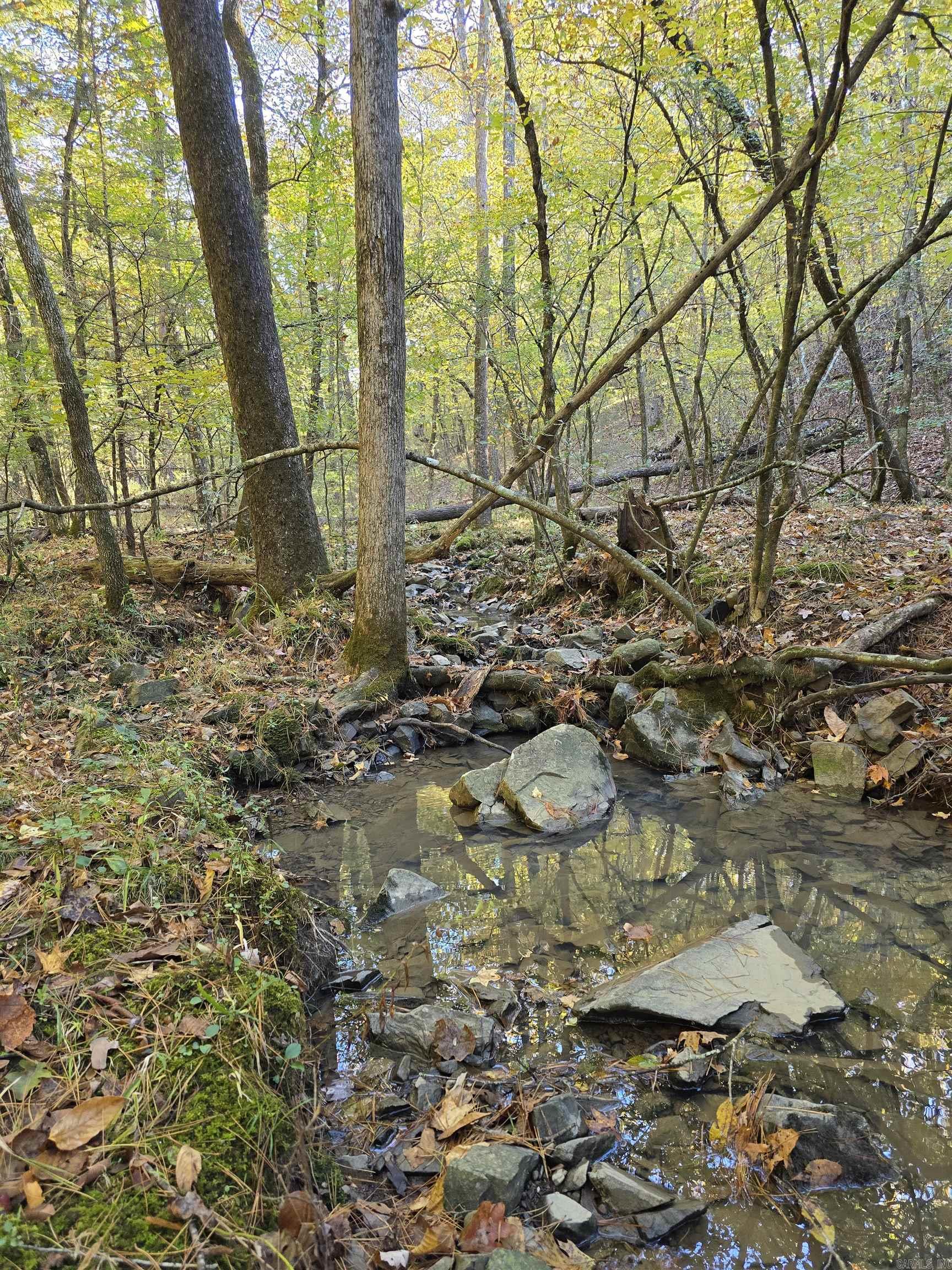 Metes & Bounds - Land