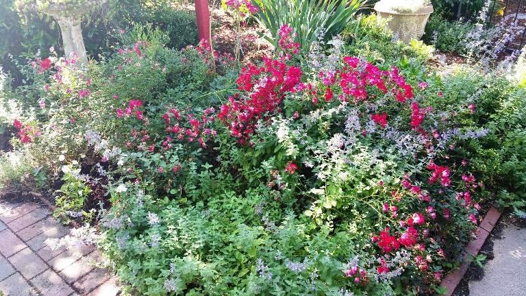 Quail Hollow - Residential