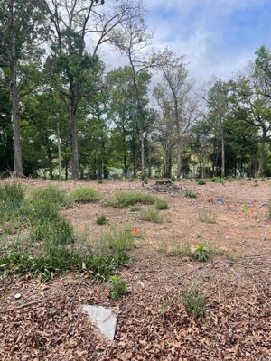 30 DAM ROAD, MAYFLOWER, AR 72106 - Image 6abc323c16eb6e41ef4a210a484769e2/1290739563