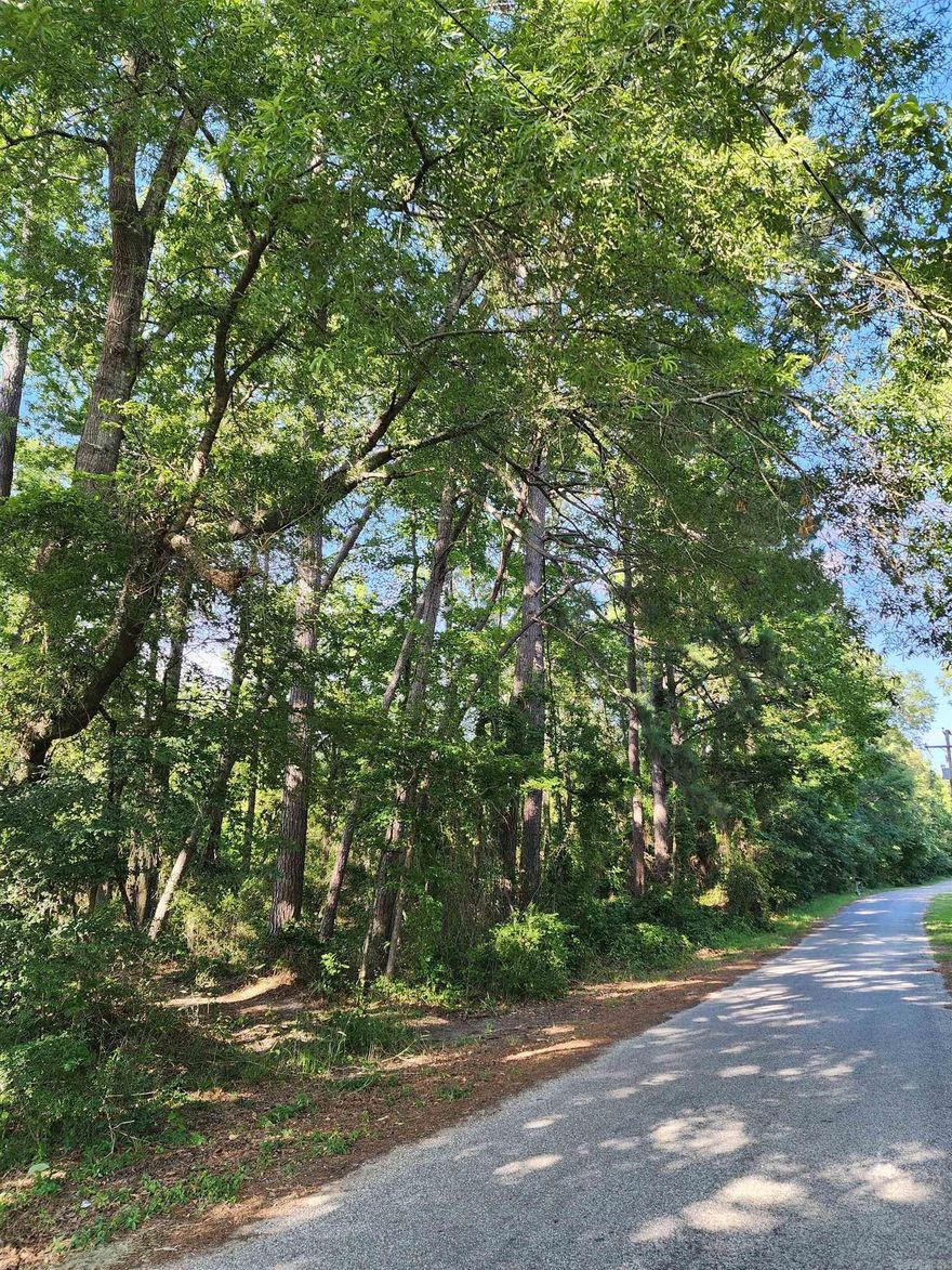 No Restrictions, utilities at road.