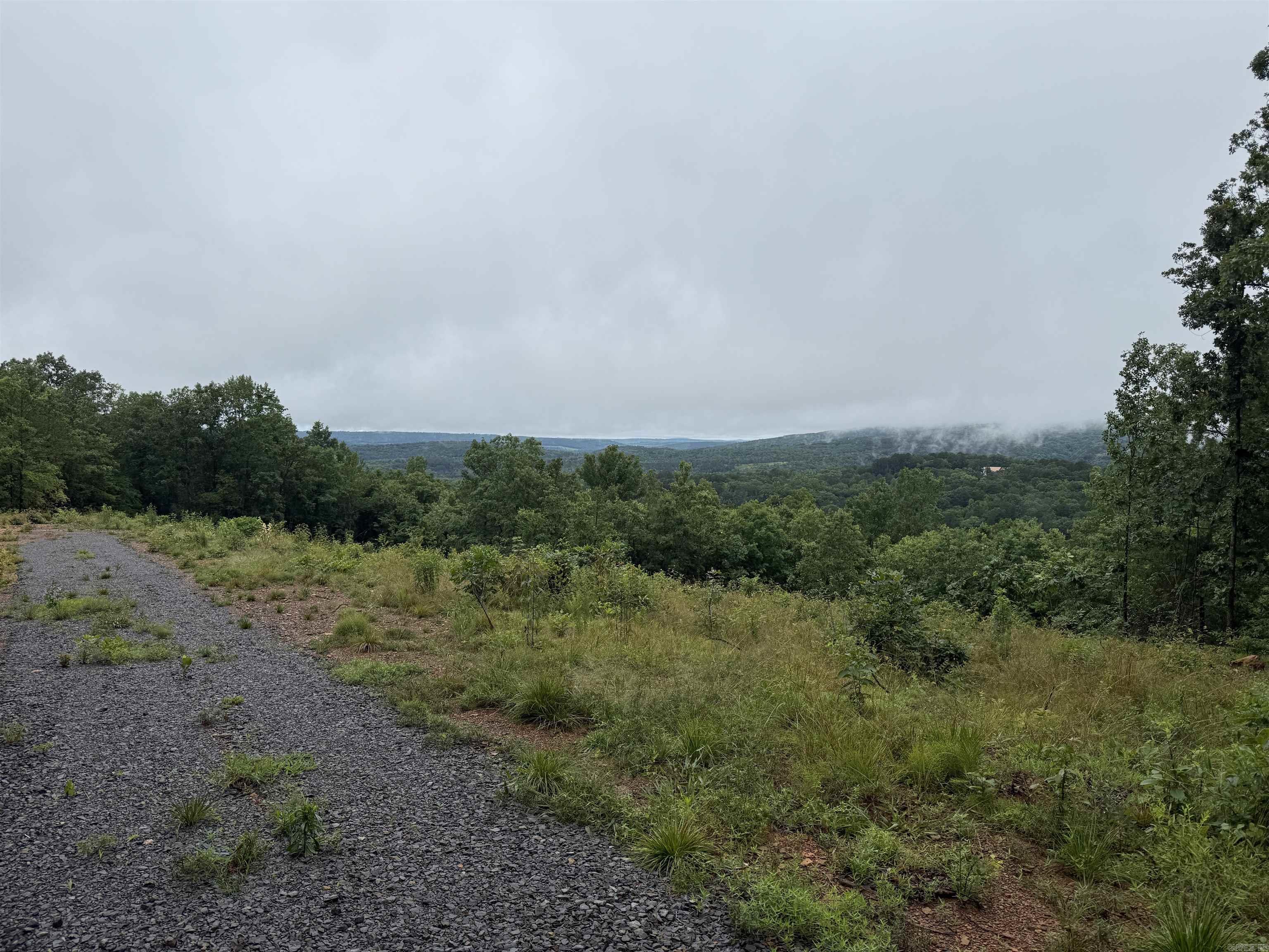 Tract 1 consists of 10 +/- acres with million-dollar views on paved, county-maintained Henderson Rd near Clinton, Arkansas. This beautiful property features a cleared homesite, and a mix of cleared and wooded areas. Enjoy Ozark mountain vistas from the deck of your dream home or mountain retreat as you watch the sun go down over the Ozark Mountains. Easy access, quiet setting, and utilities along the road. Just minutes from Clinton and a short drive to Greers Ferry Lake. Private, scenic, and ready for your vision.